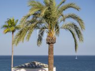 Duplex Penthouse for sale in Estepona
