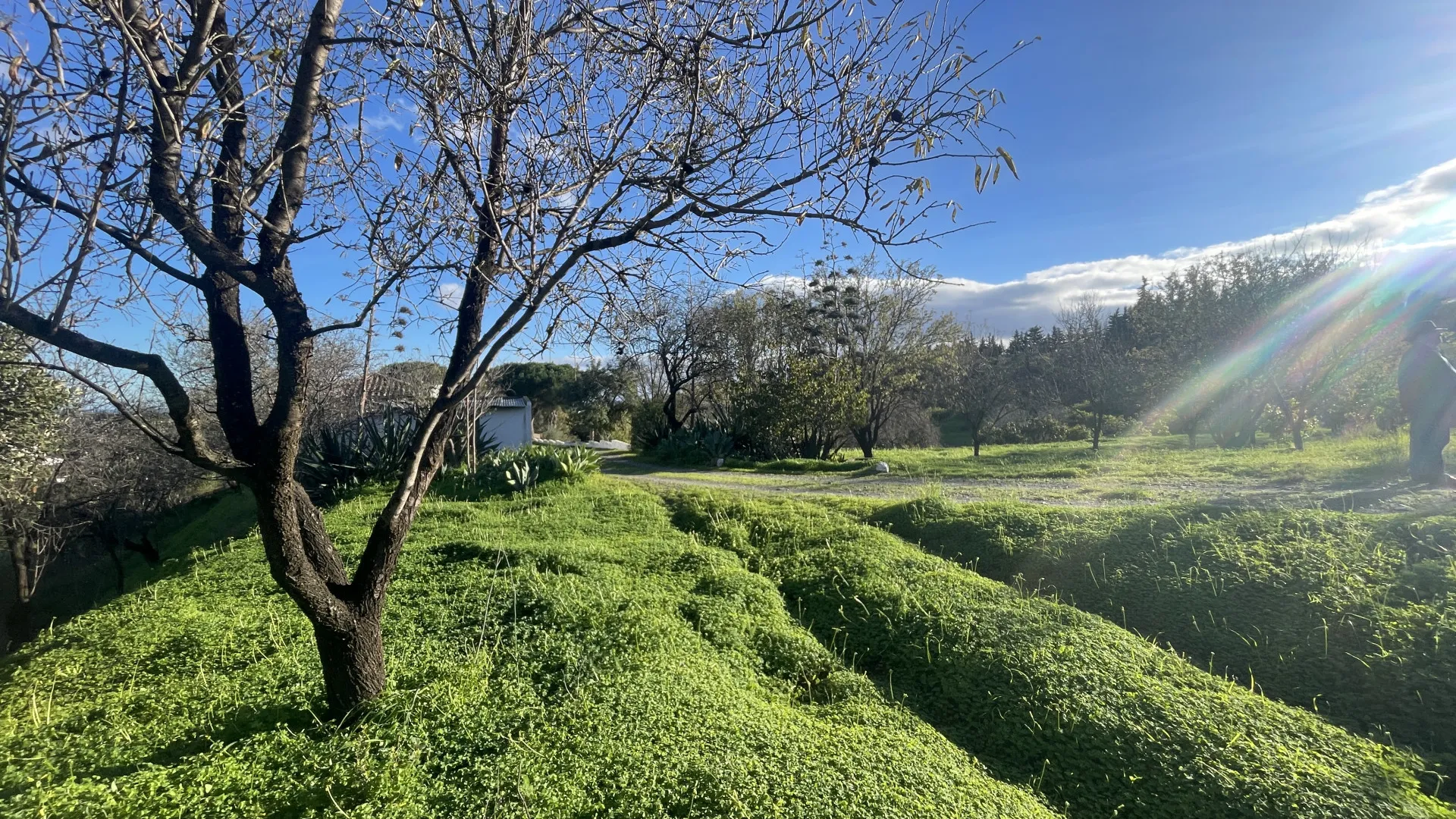 Estepona, finca en venta