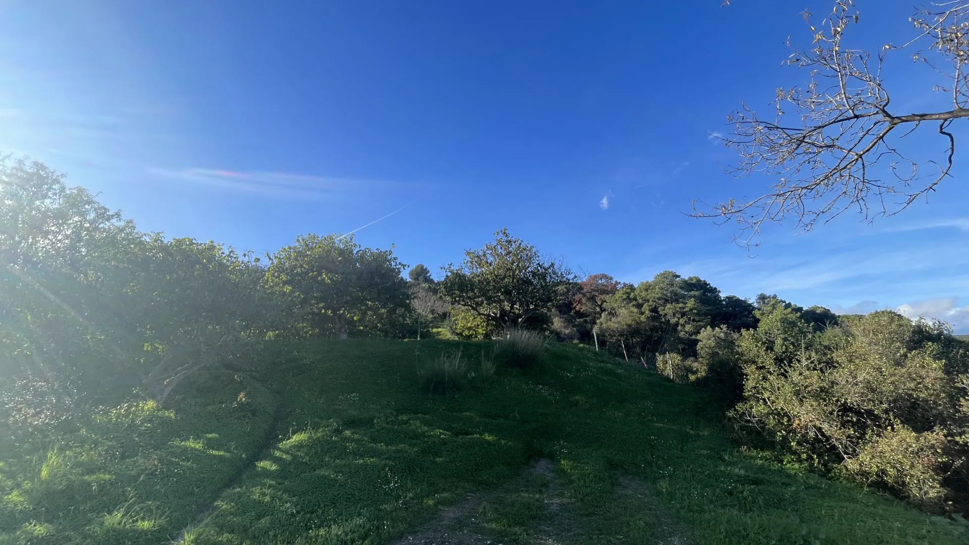 Estepona, finca en venta
