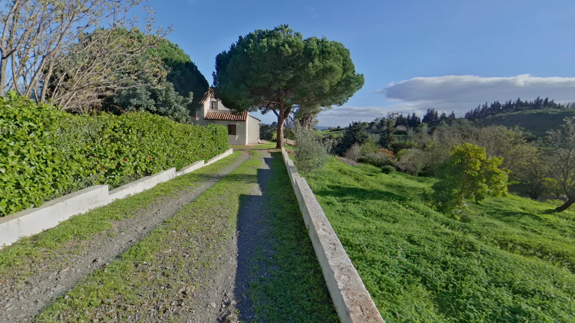 Estepona, finca en venta