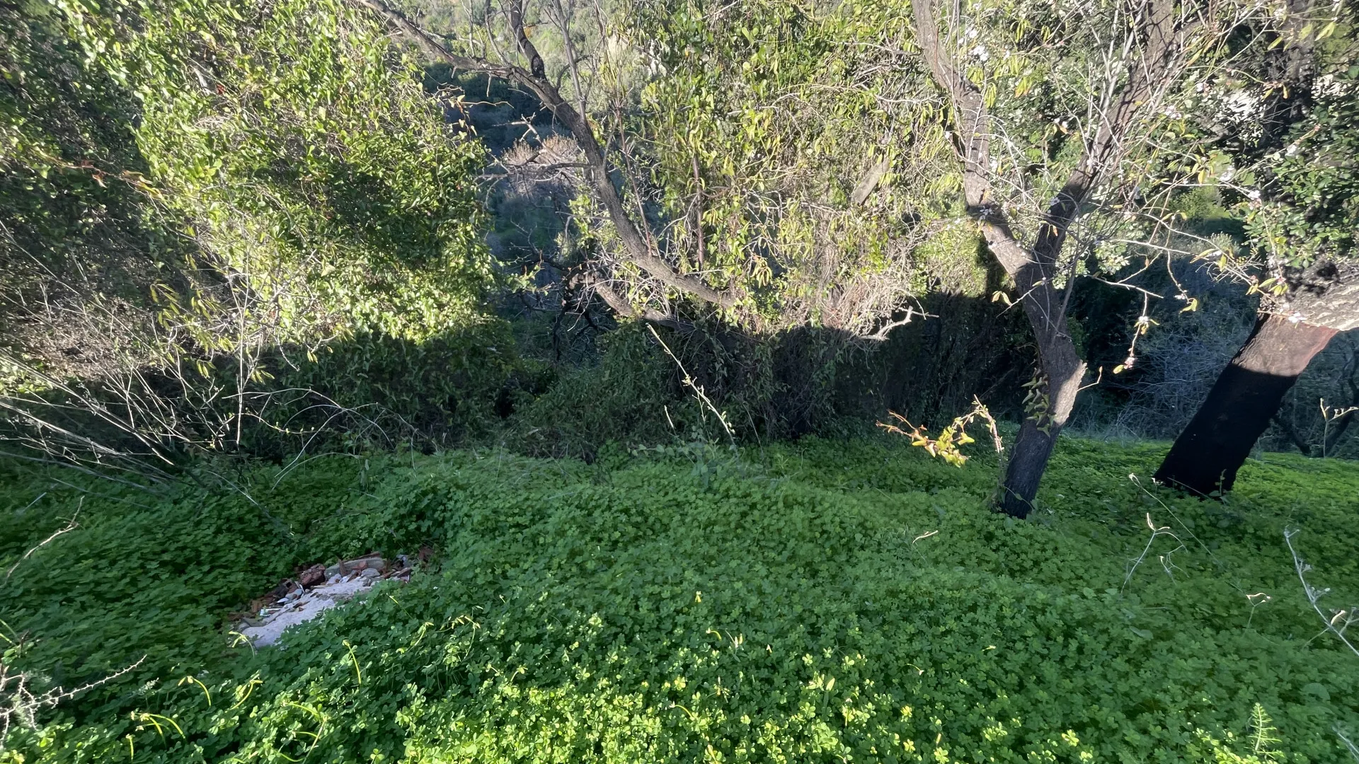 Estepona, finca en venta