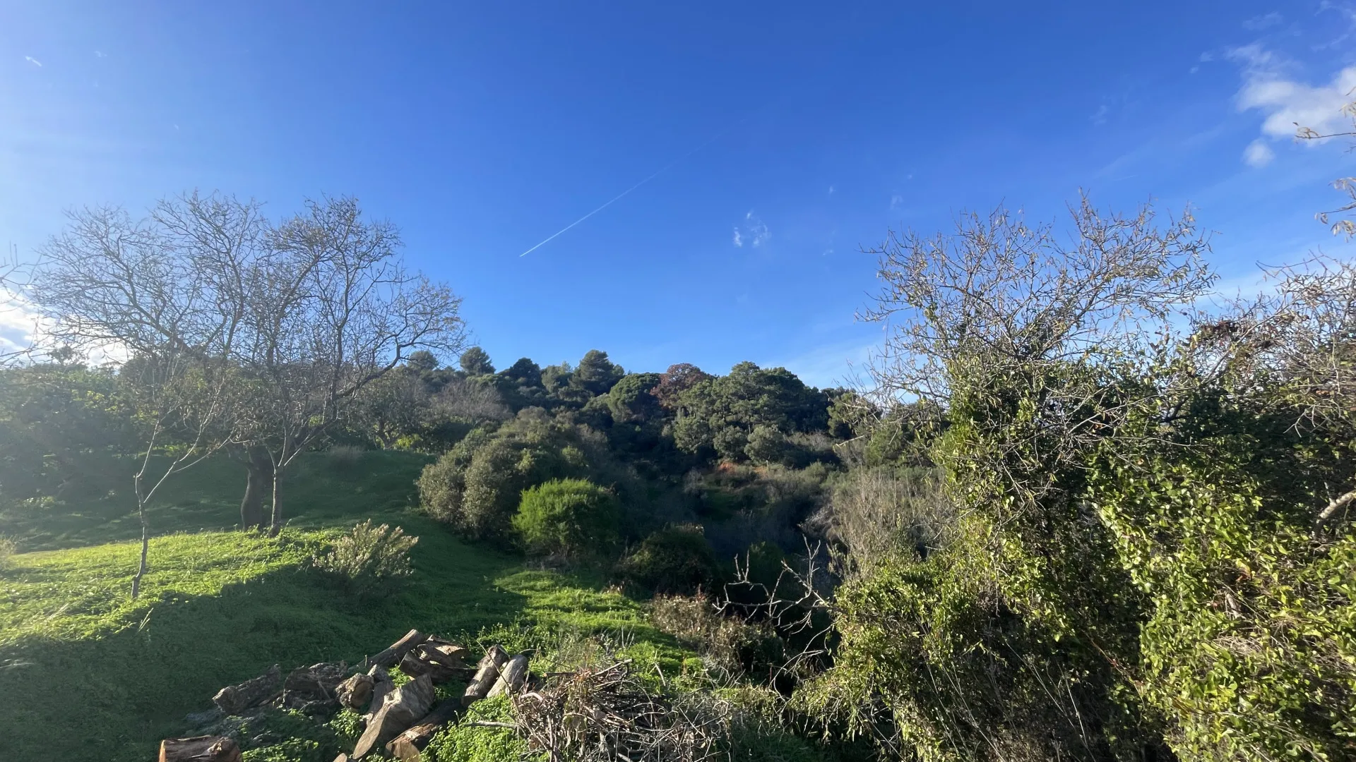 Estepona, finca en venta