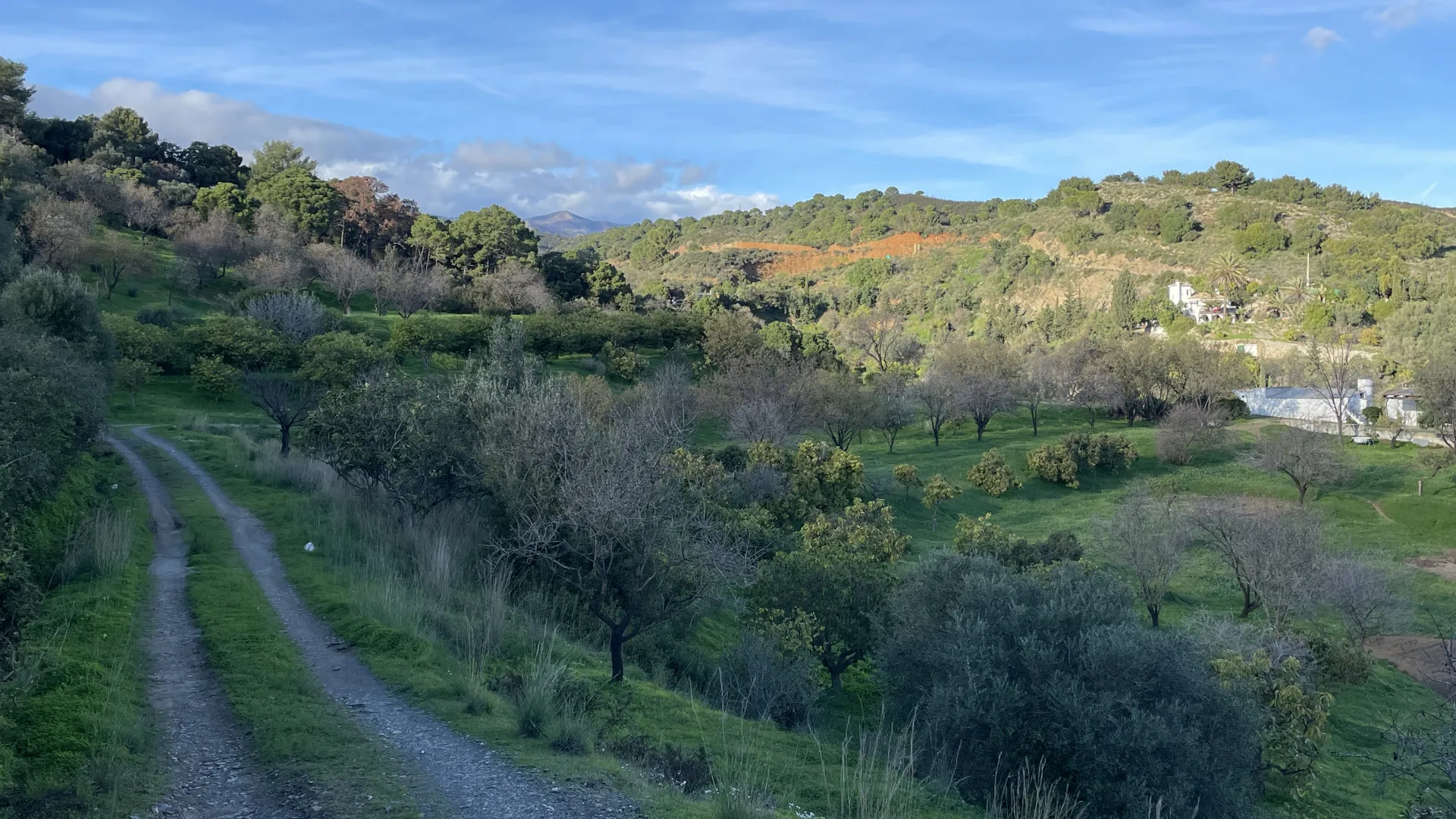 Estepona, finca en venta