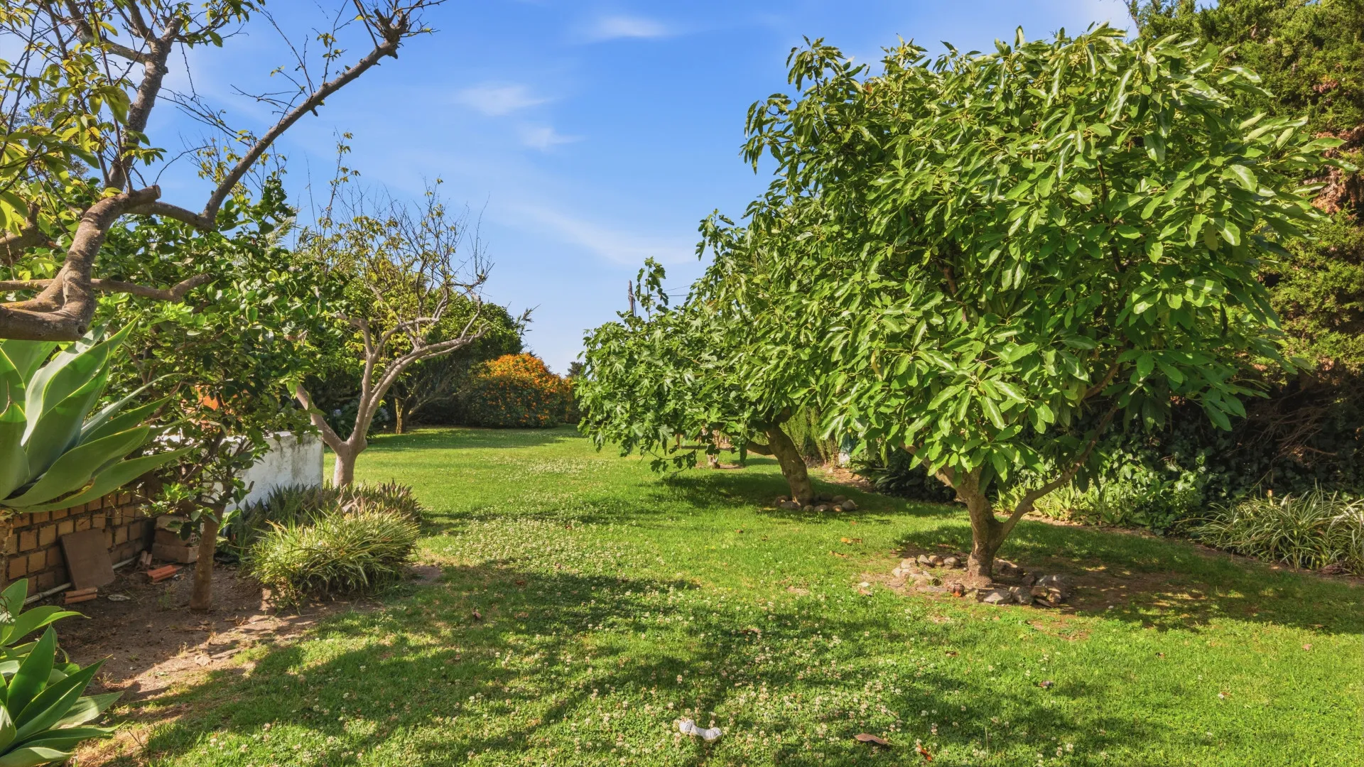 Comprar casa de campo en Estepona Ciudad