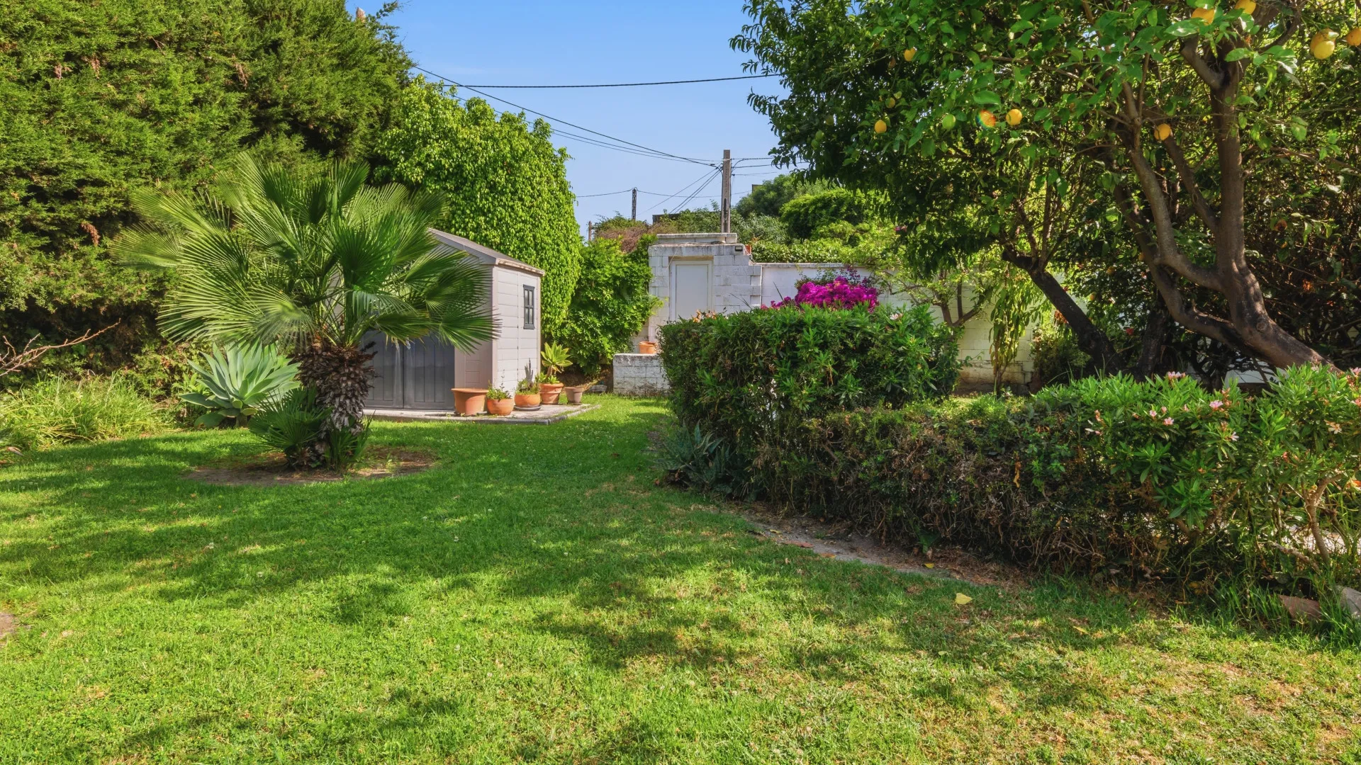 Comprar casa de campo en Estepona Ciudad