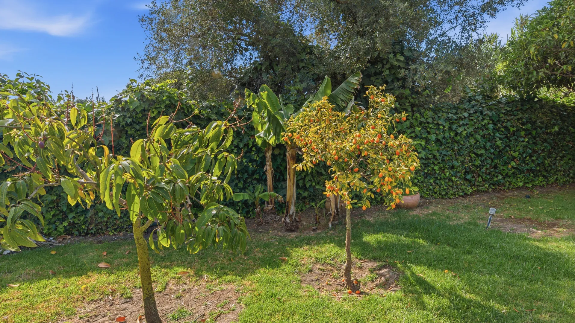Comprar casa de campo en Estepona Ciudad