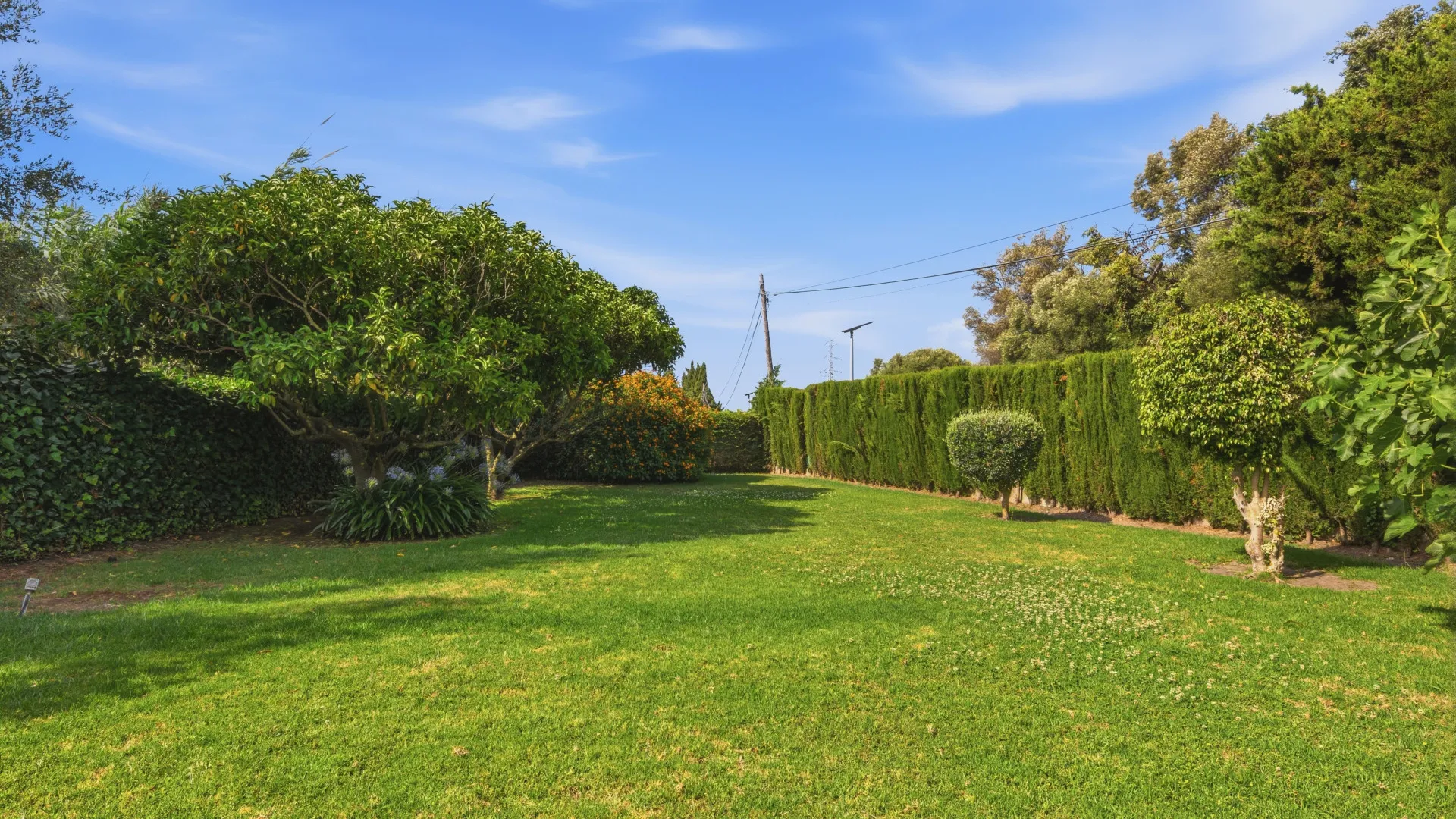 Comprar casa de campo en Estepona Ciudad