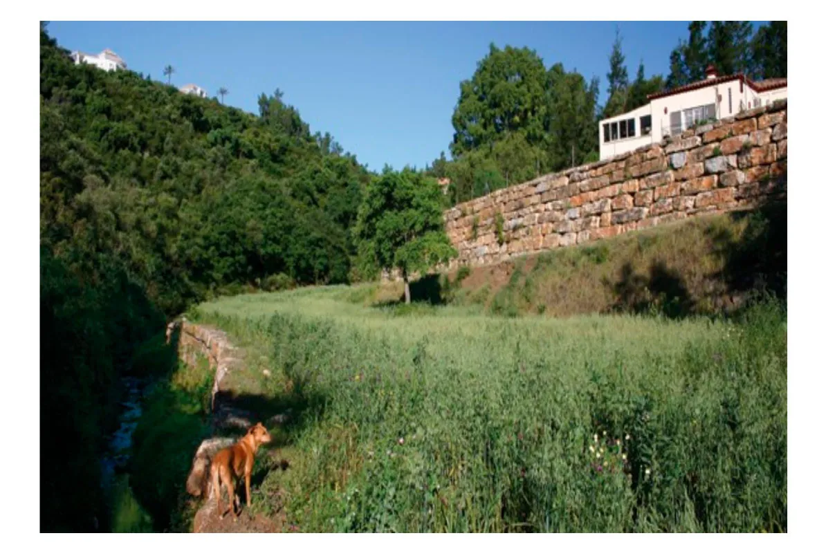 Puerto del Almendro plot for sale