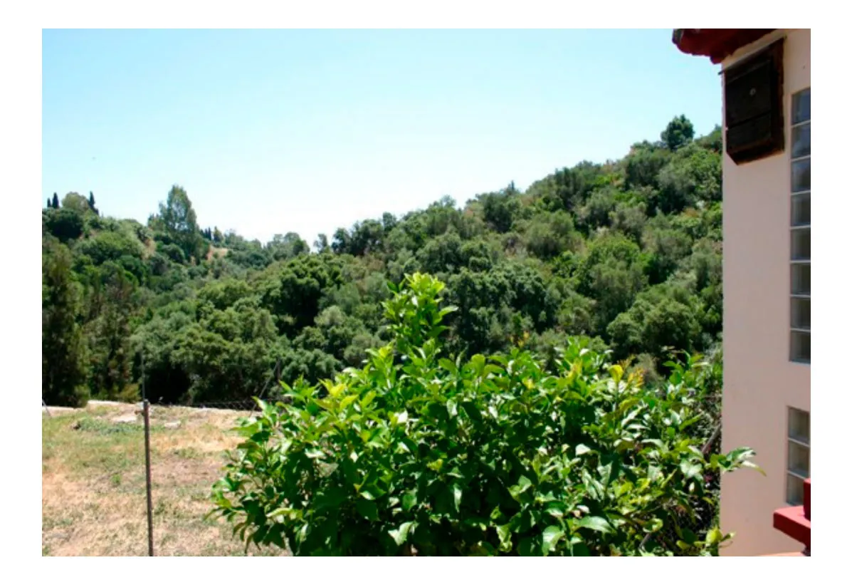 Puerto del Almendro plot for sale