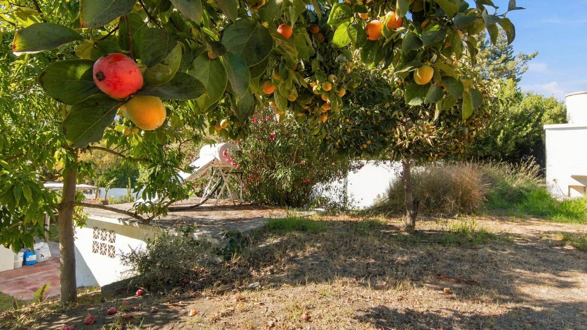 La Alberdina villa for sale