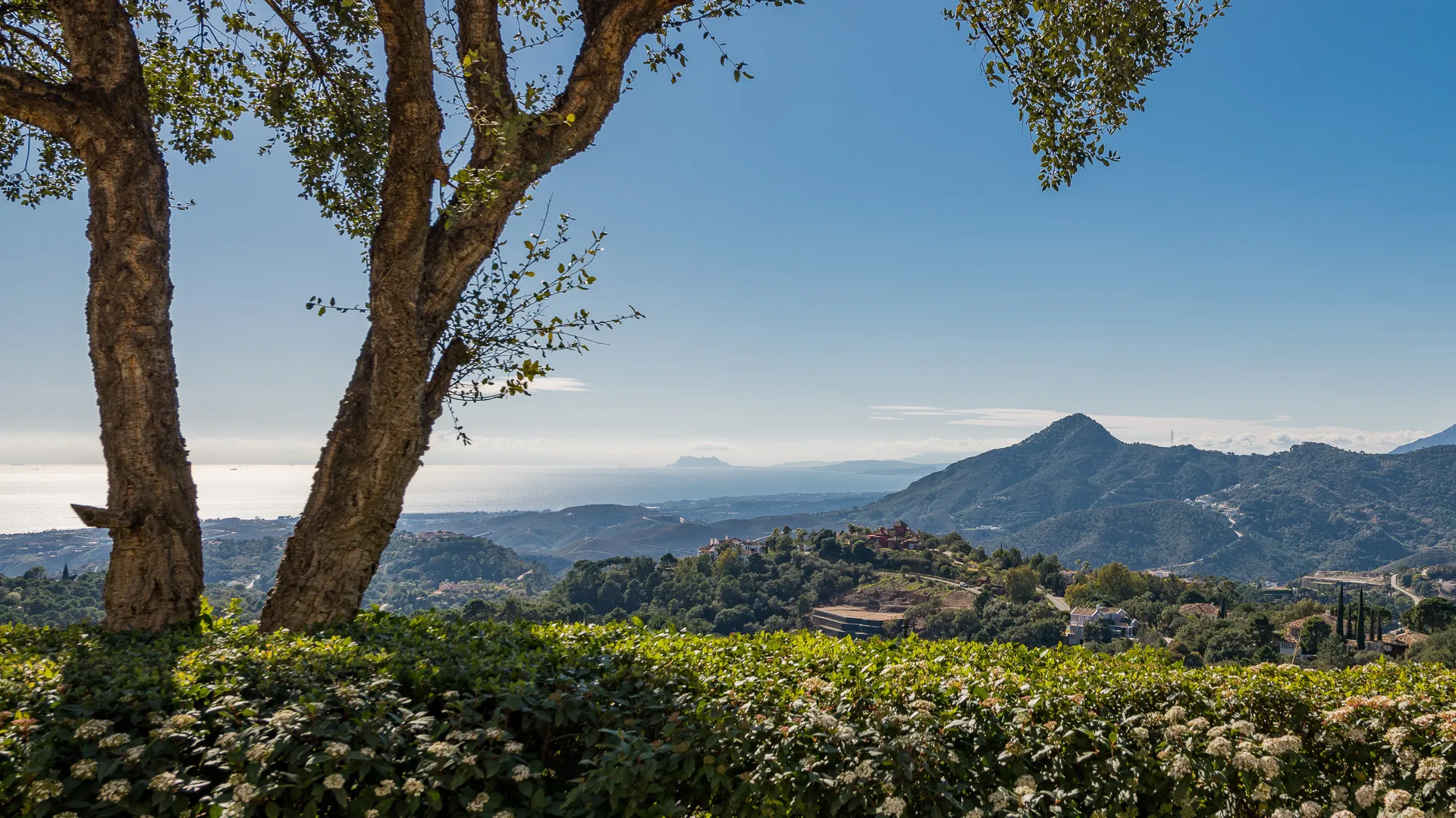 Villa for sale in La Zagaleta with 7 bedrooms