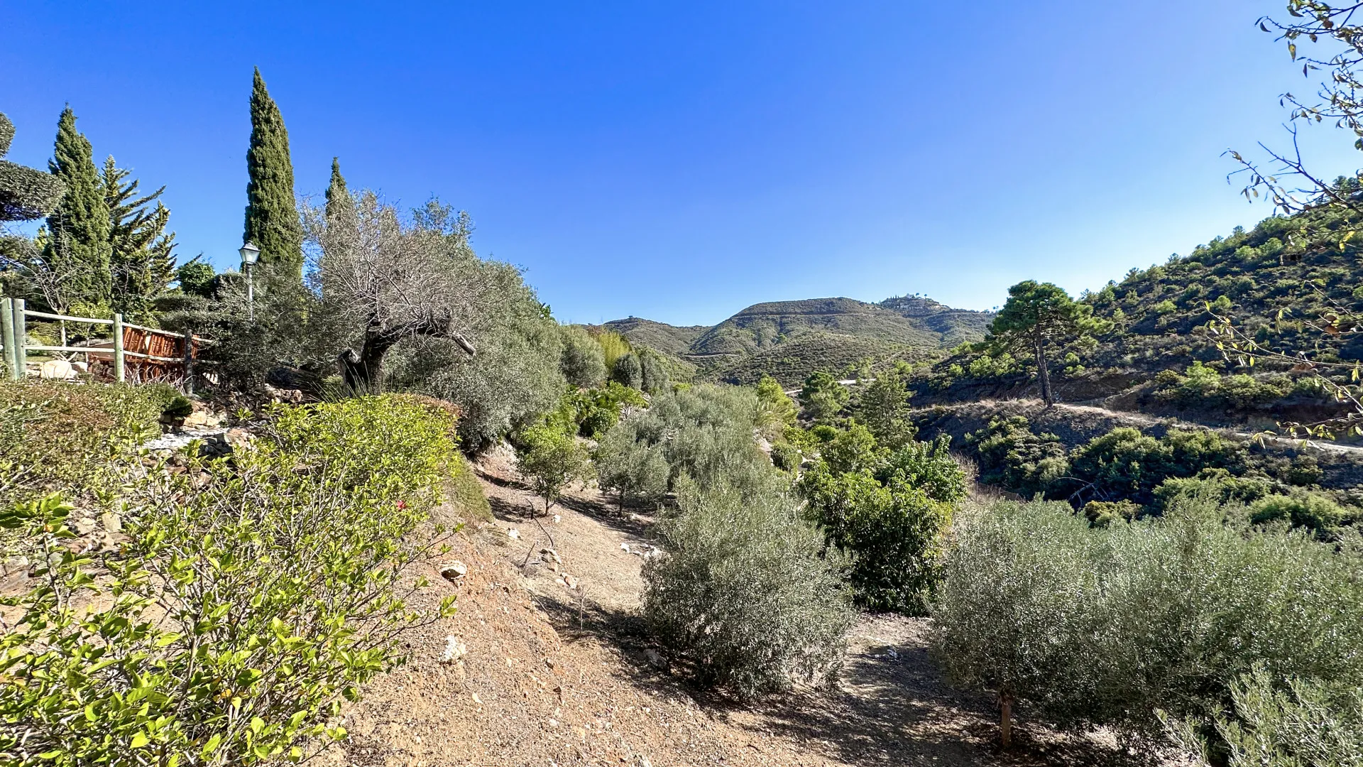 Finca with 5 bedrooms for sale in Ojen