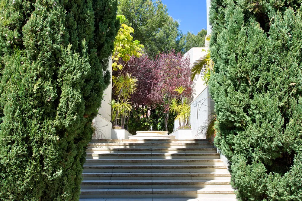 For sale apartment with 3 bedrooms in Imara