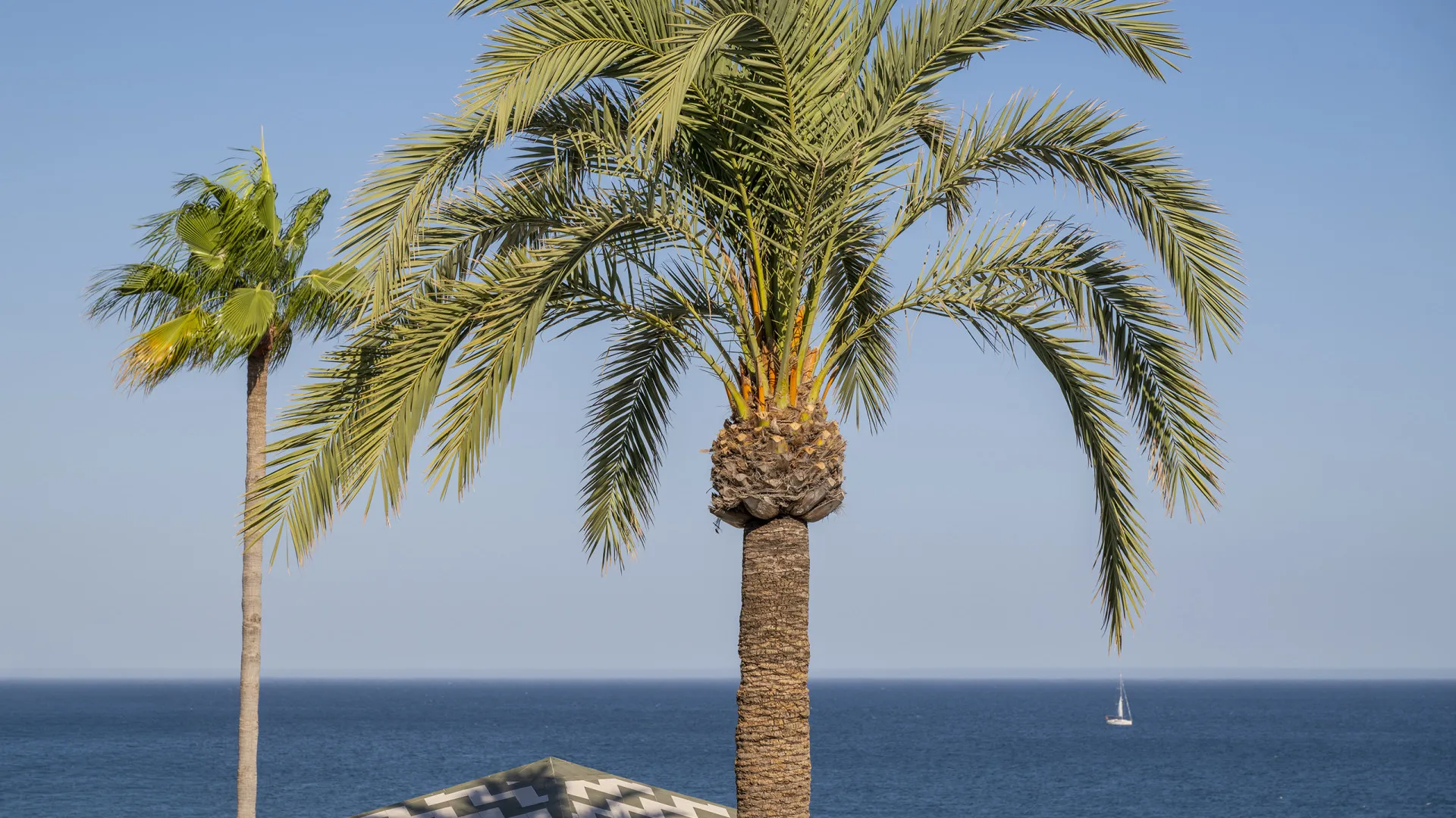 For sale duplex penthouse with 3 bedrooms in Dominion Beach