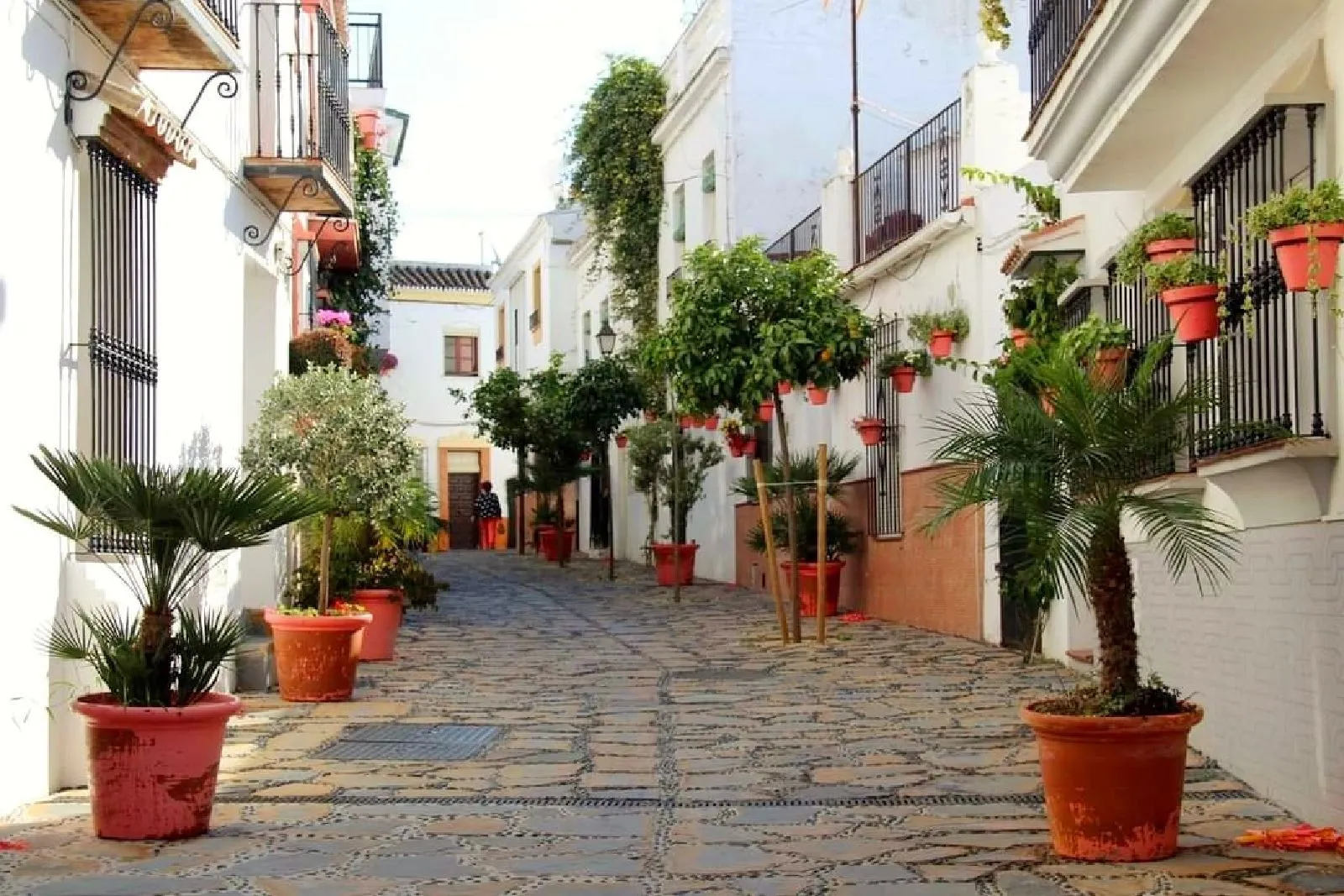Hotel with 11 bedrooms for sale in Estepona