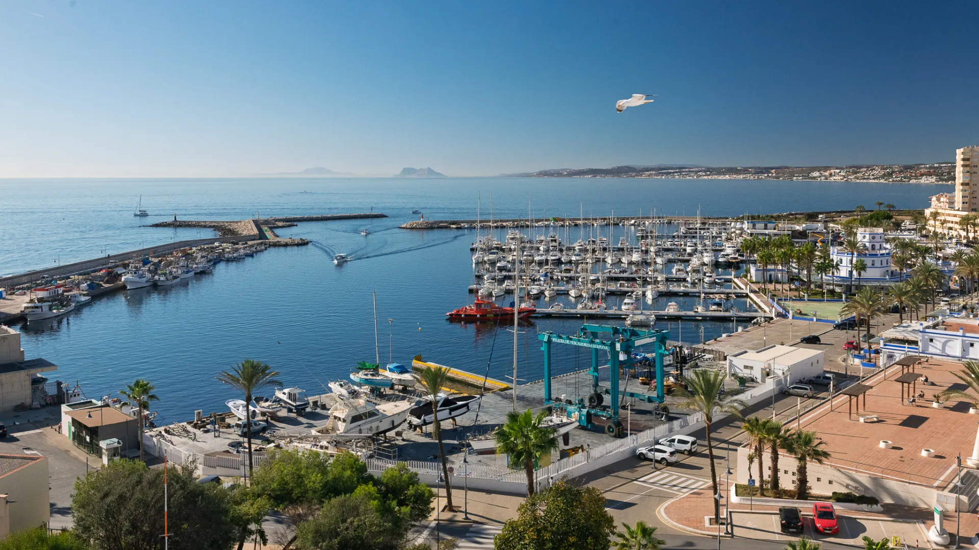 Hotel with 11 bedrooms for sale in Estepona