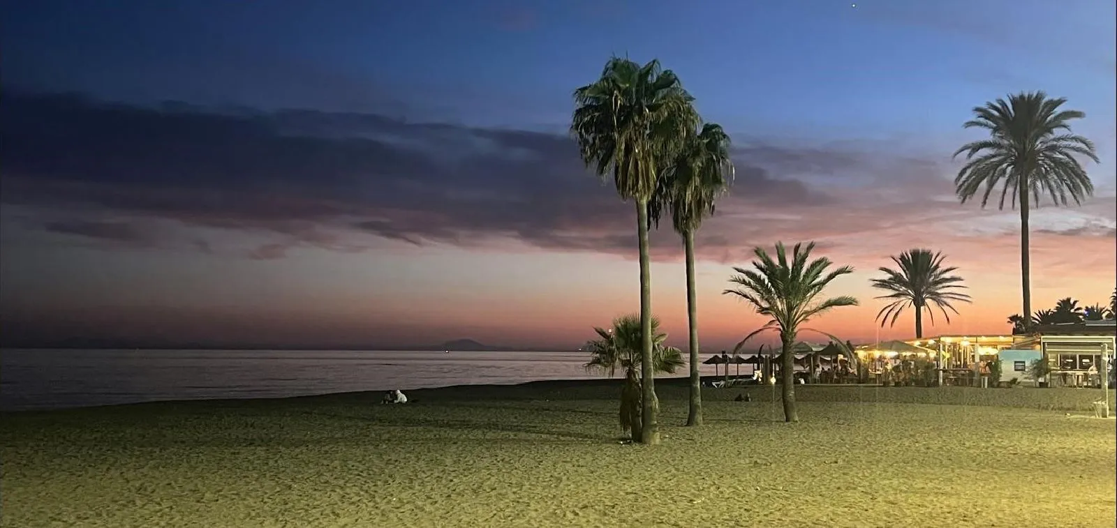 Hotel with 11 bedrooms for sale in Estepona