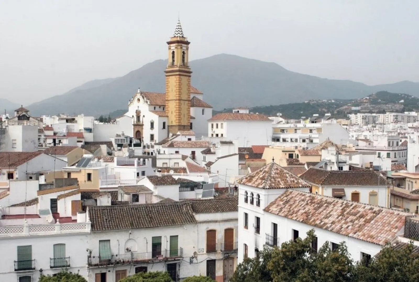 Hotel with 11 bedrooms for sale in Estepona