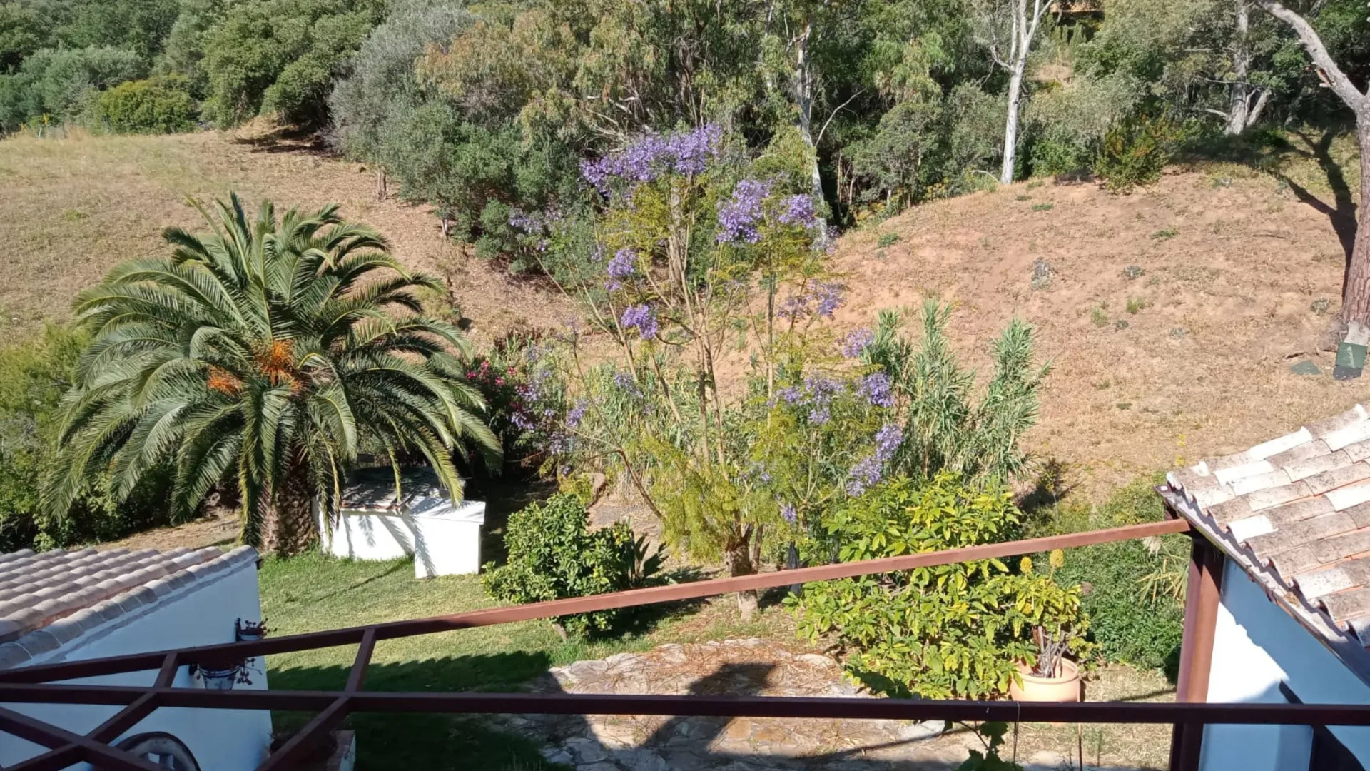 Finca en venta en Casares