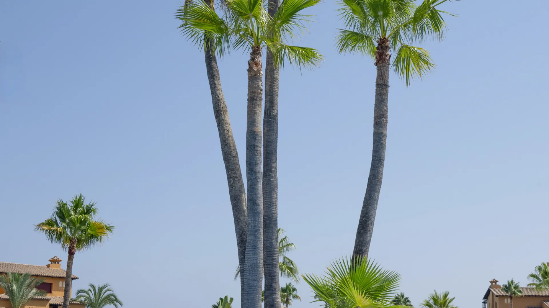 Comprar apartamento en Los Granados del Mar