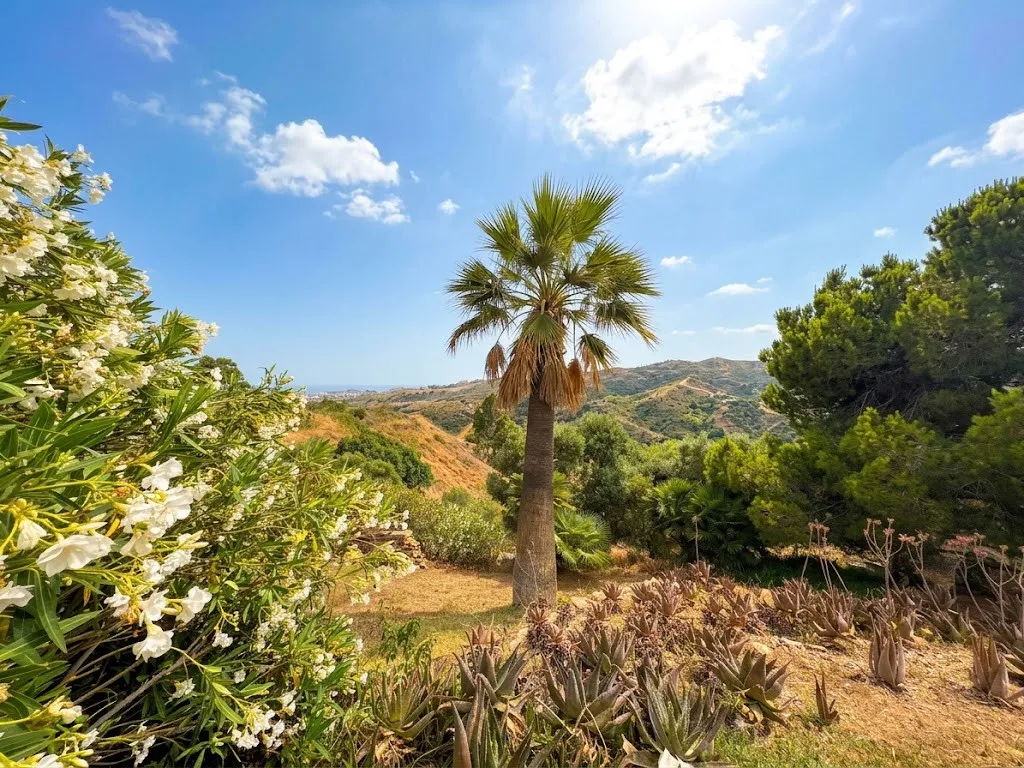 Comprar casa en La Cala Golf Resort