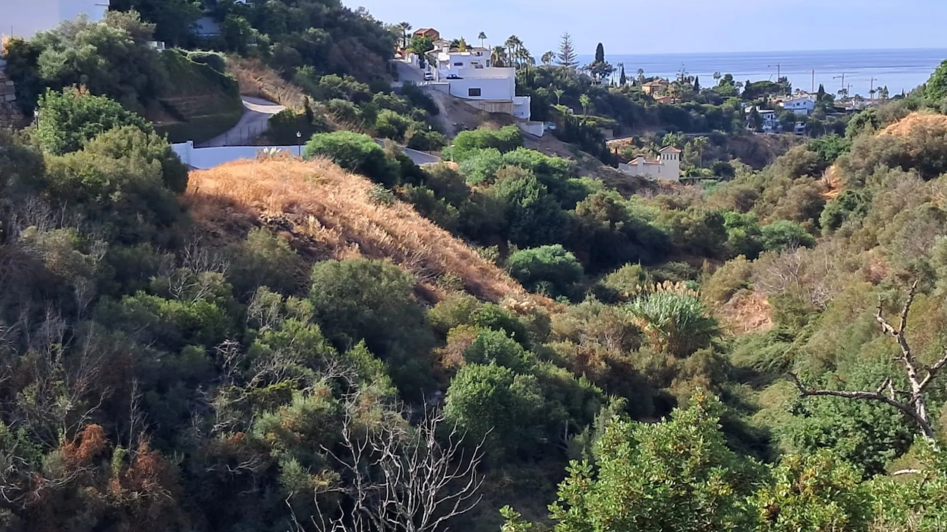For sale plot in El Rosario