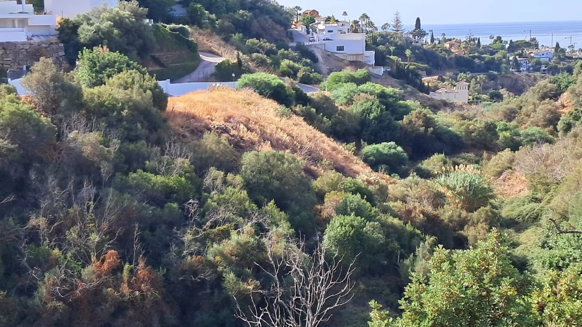 For sale plot in El Rosario