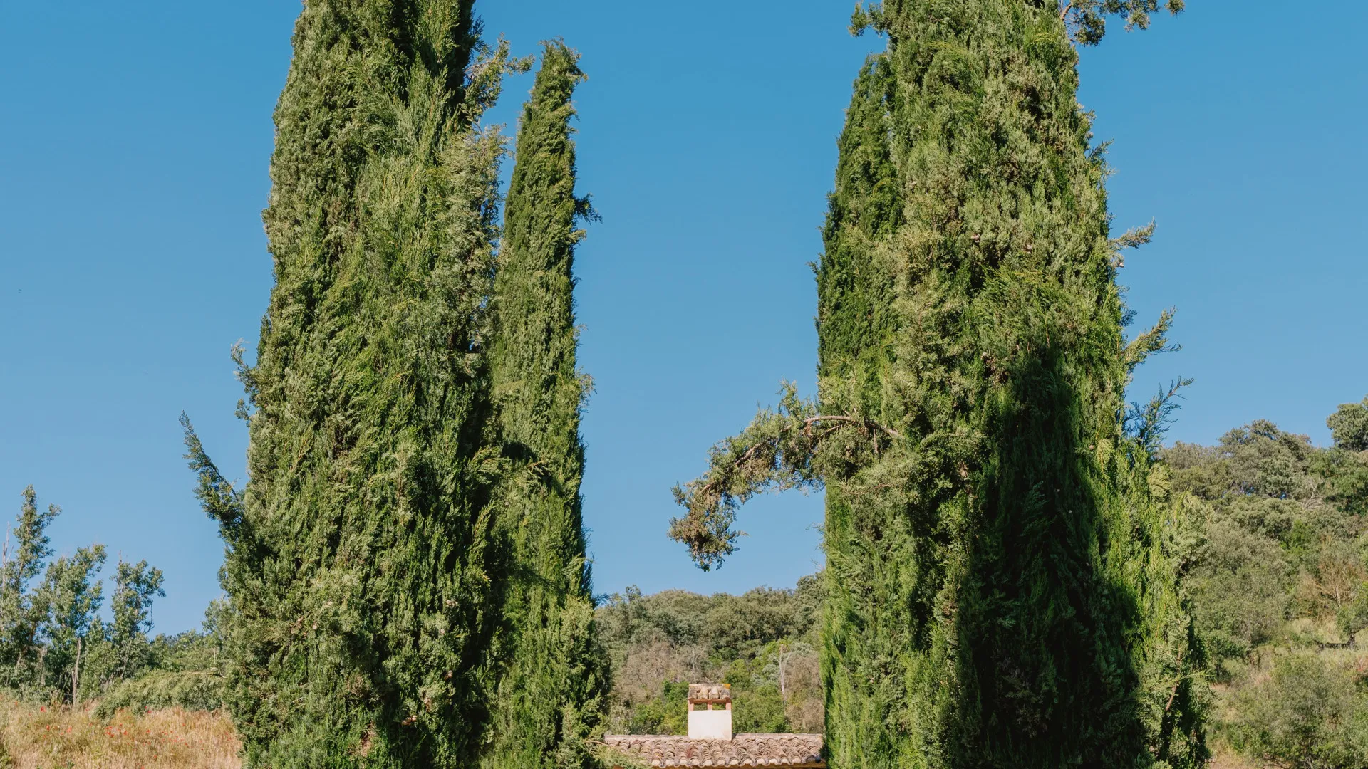 Setenil de las Bodegas, finca con 6 dormitorios en venta