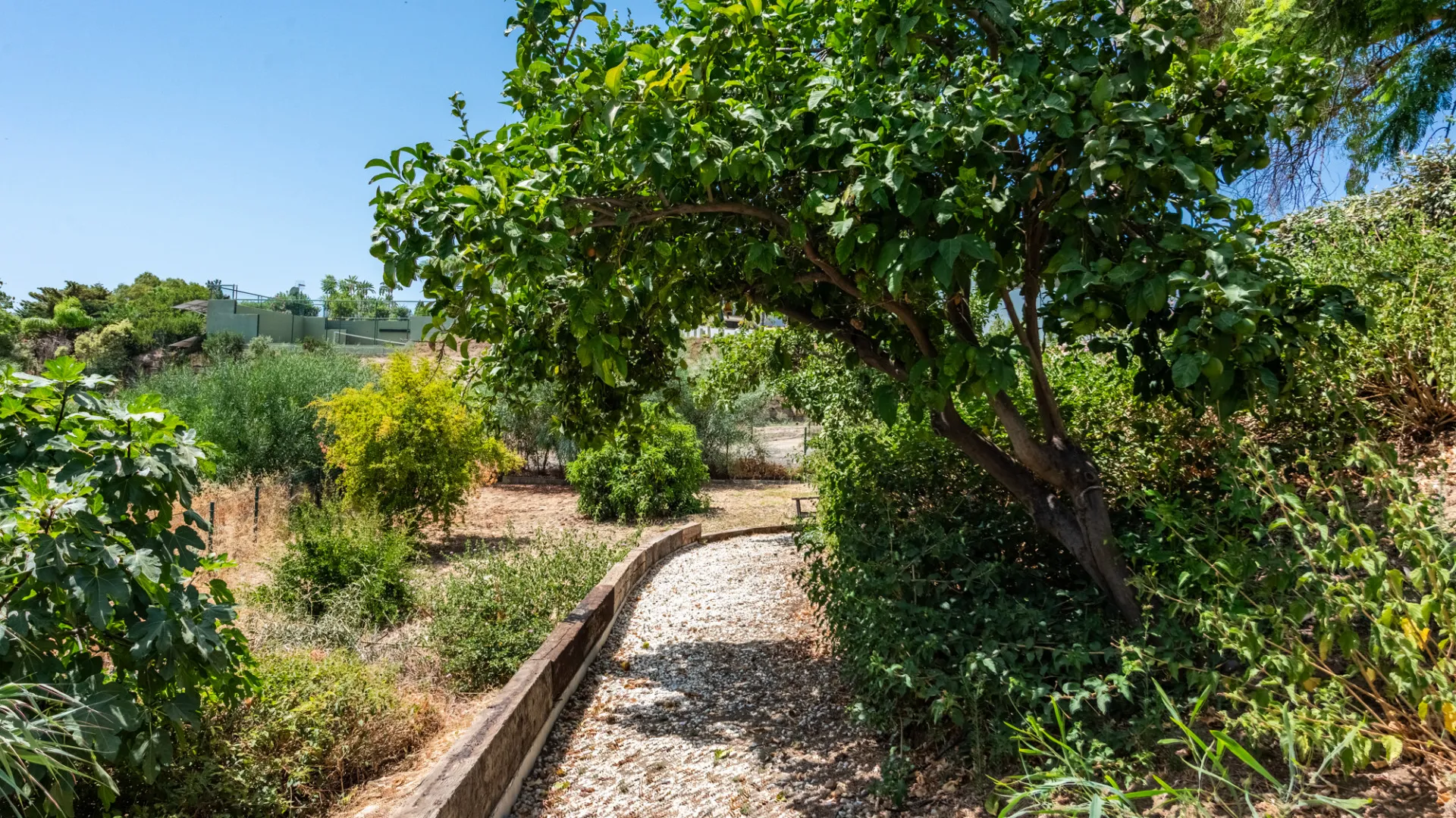 5 bedrooms Vega del Colorado villa for sale