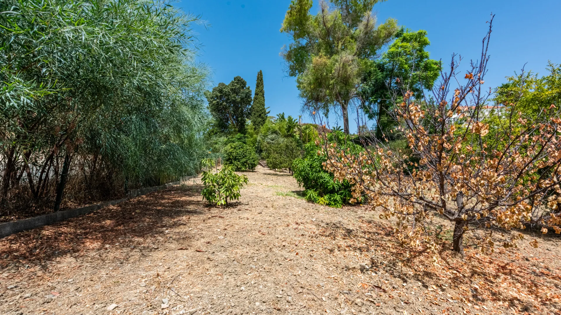5 bedrooms Vega del Colorado villa for sale