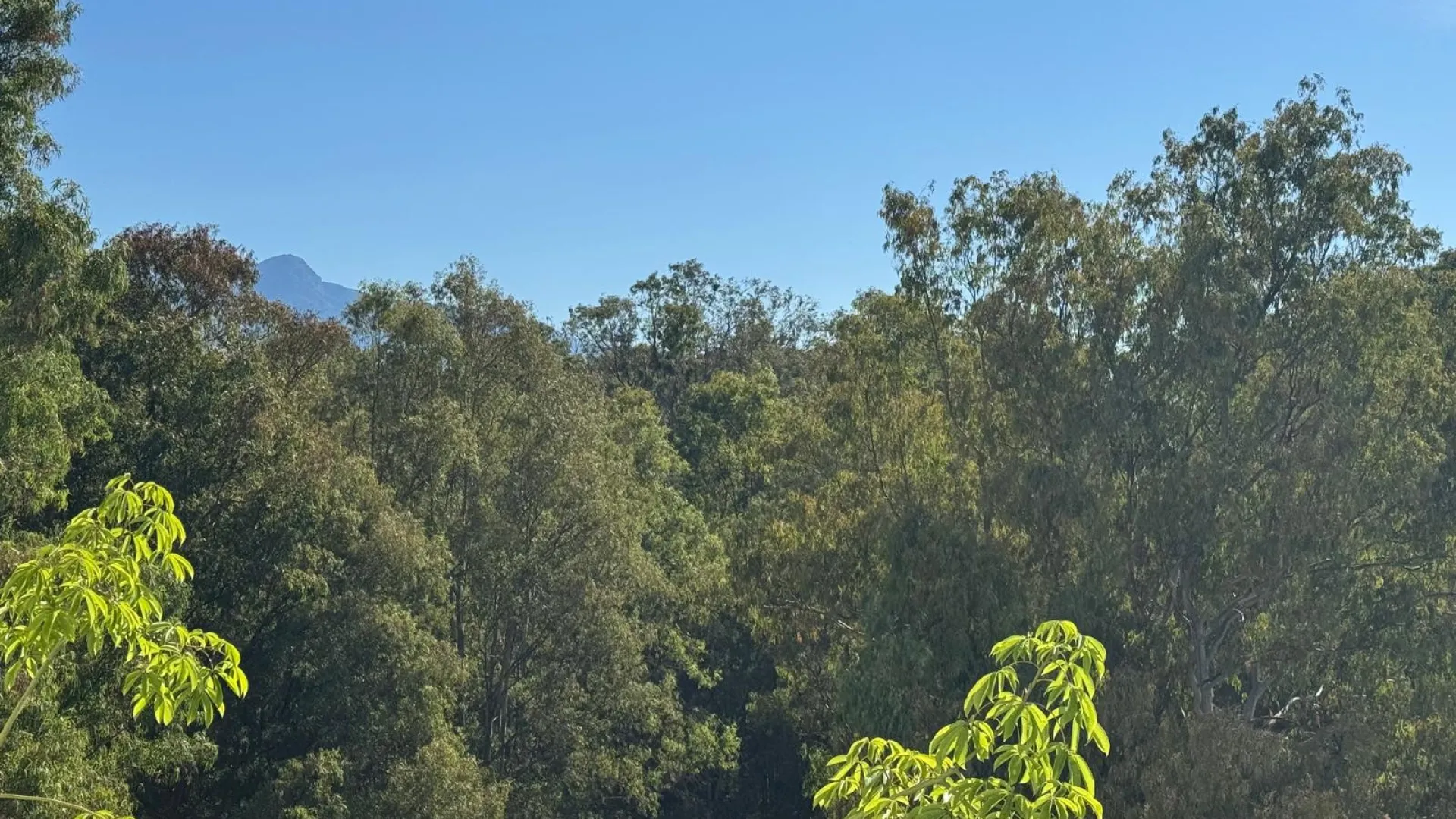 Se vende apartamento en Atalaya
