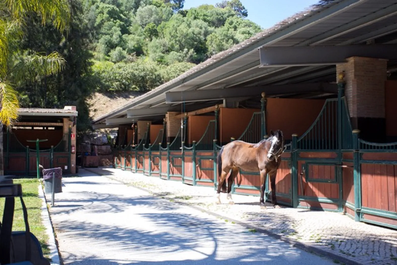 For sale Marbella Club Golf Resort 5 bedrooms villa