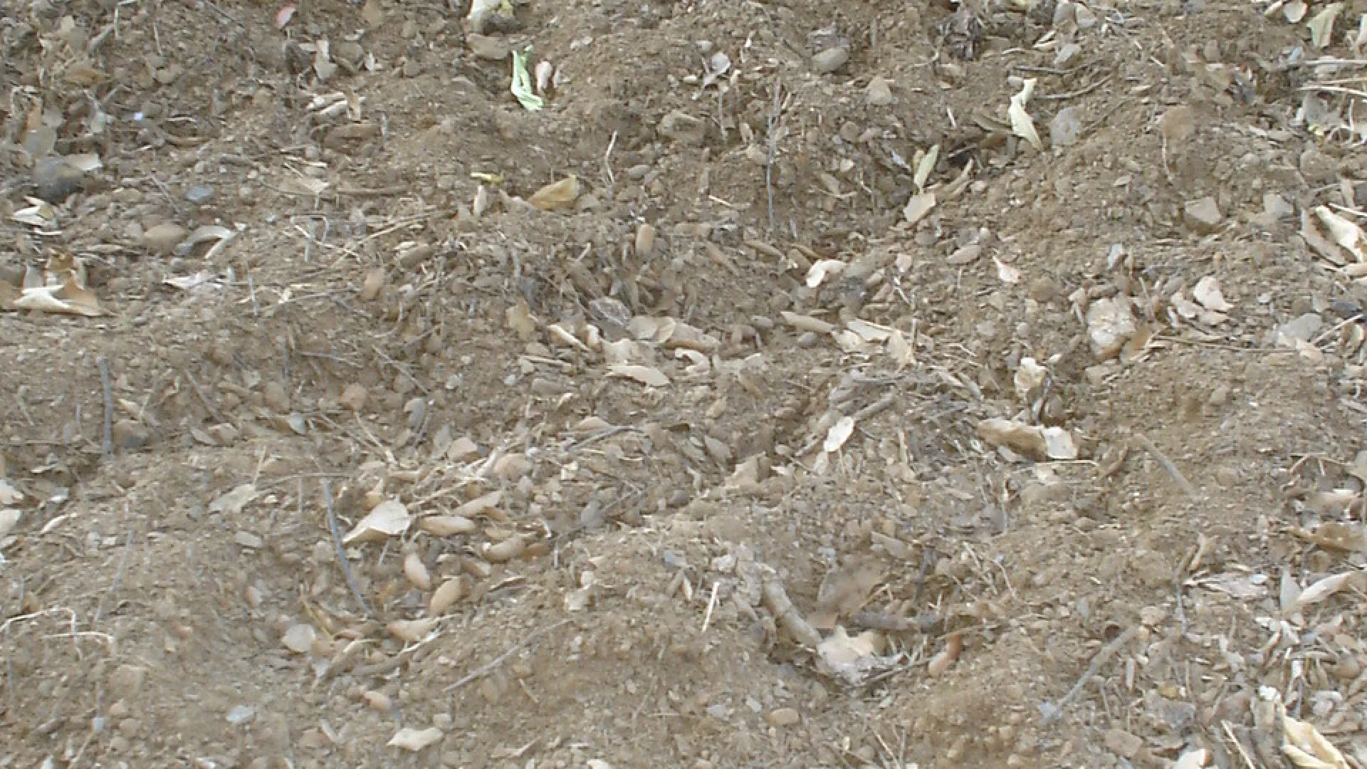 Comprar parcela en El Padron