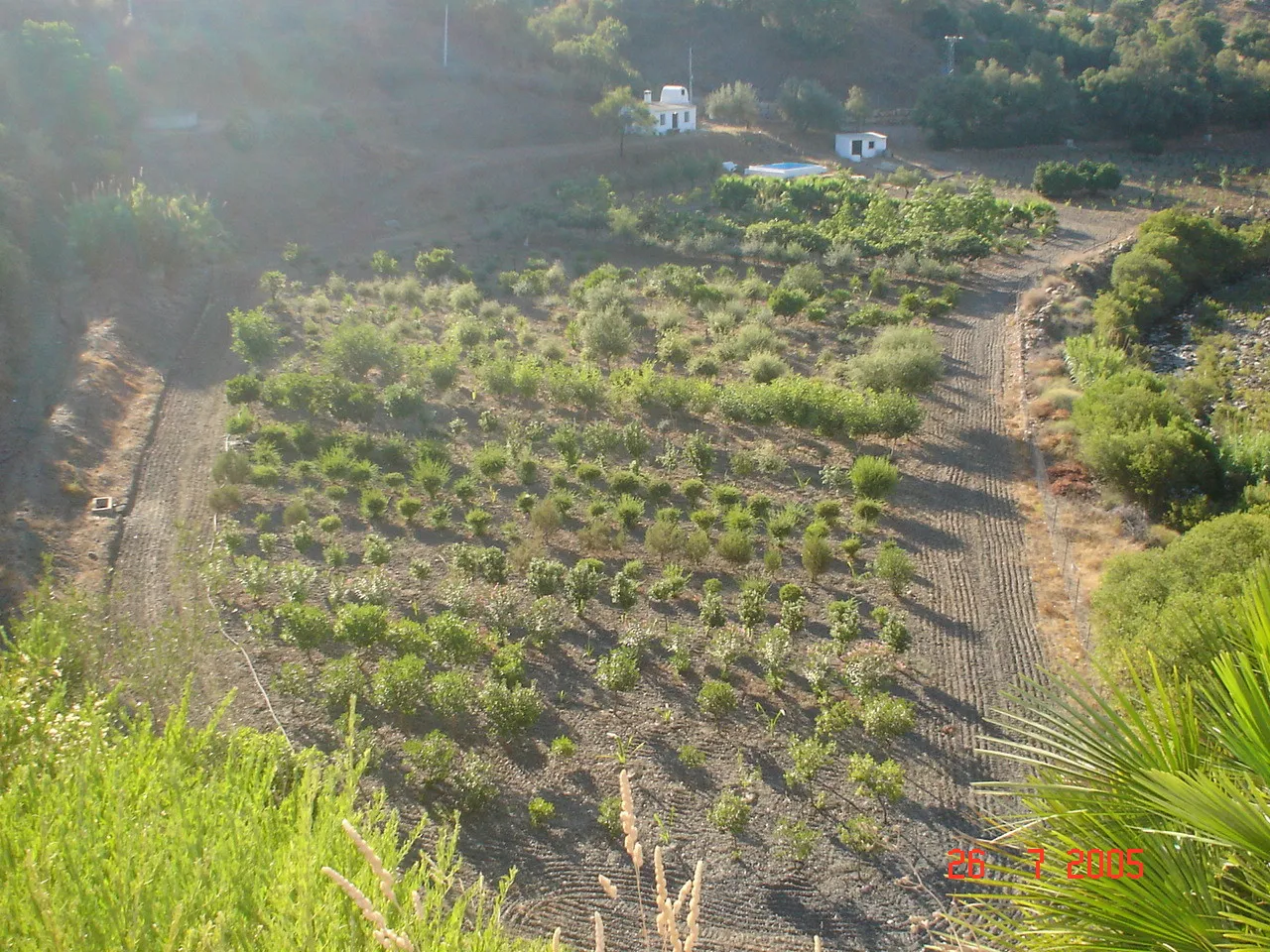 Comprar parcela en El Padron