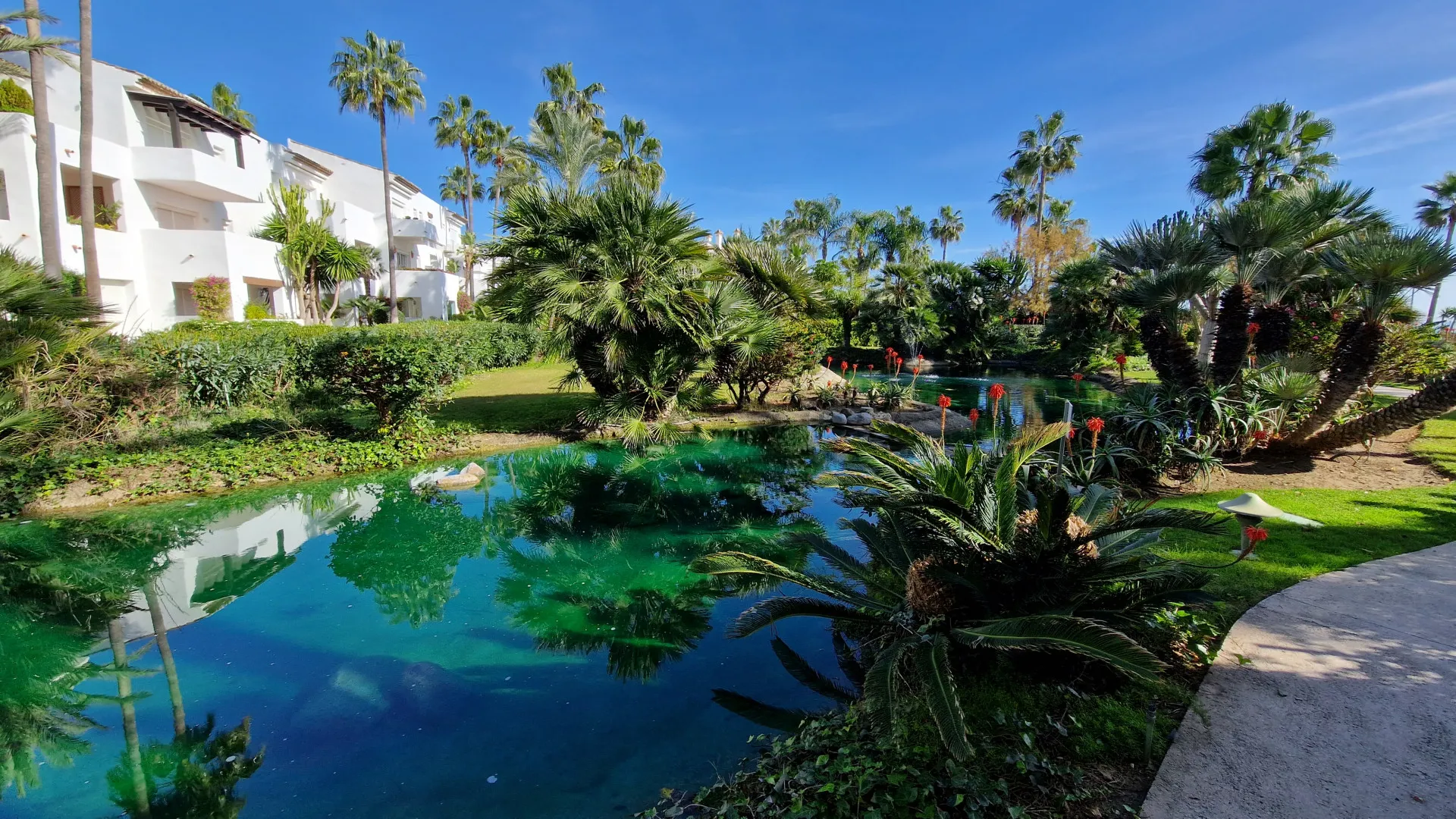 Ground floor apartment for sale in Costalita with 3 bedrooms