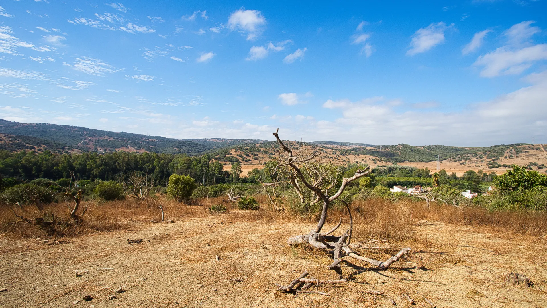 Finca en venta de 3 dormitorios en San Martin del Tesorillo