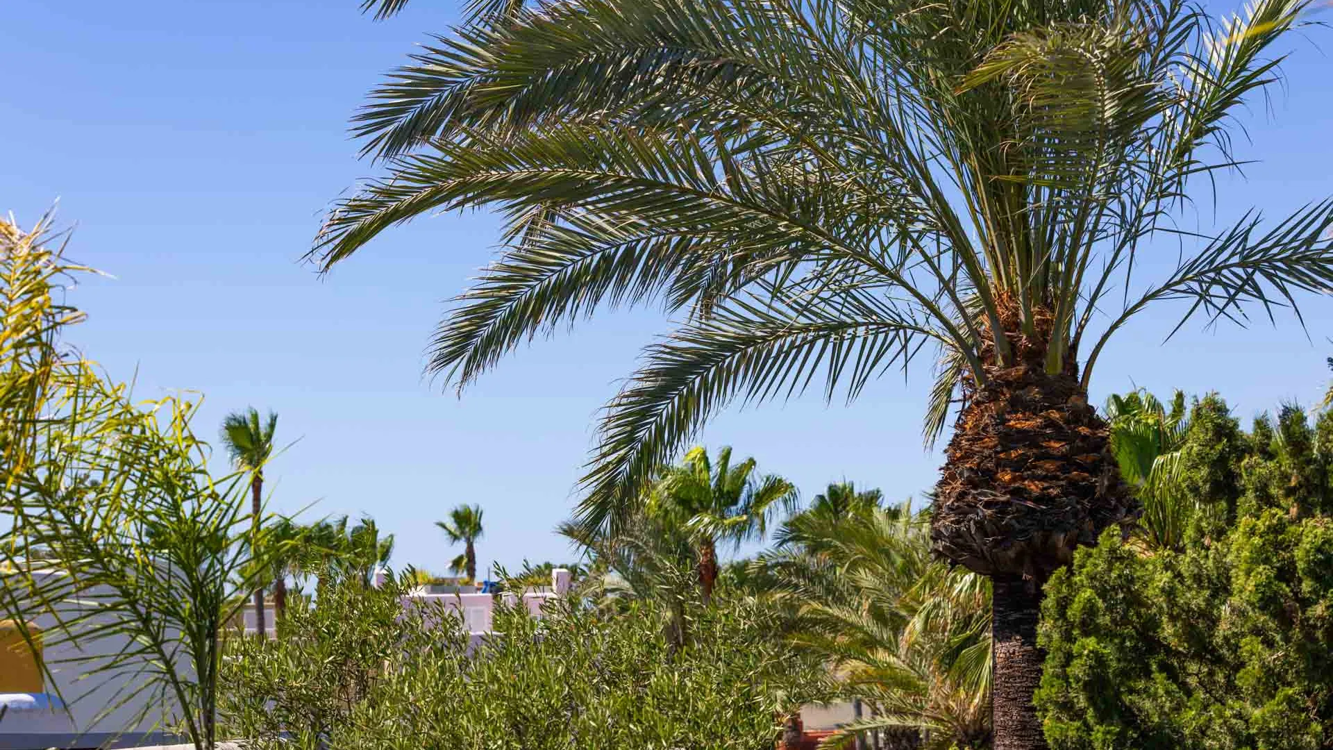 For sale Los Lacasitos semi detached house