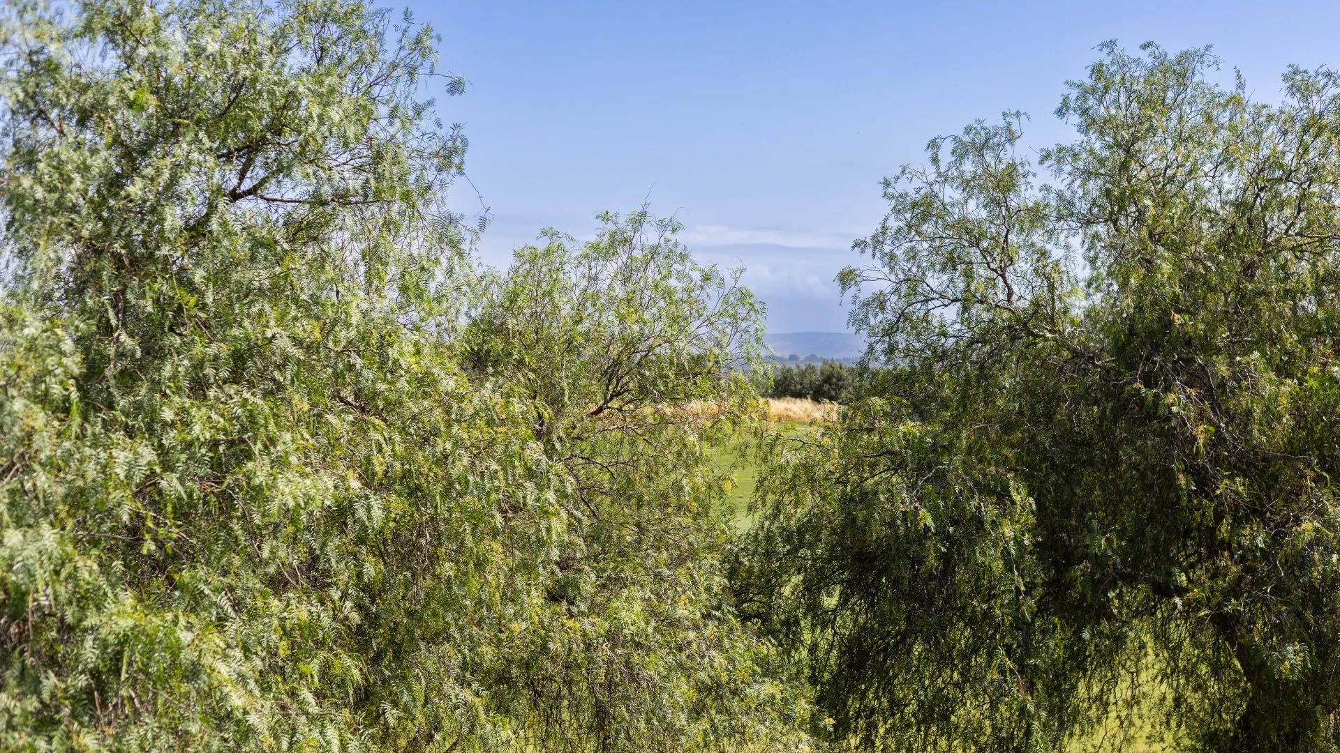 For sale Alcaidesa Golf 2 bedrooms town house