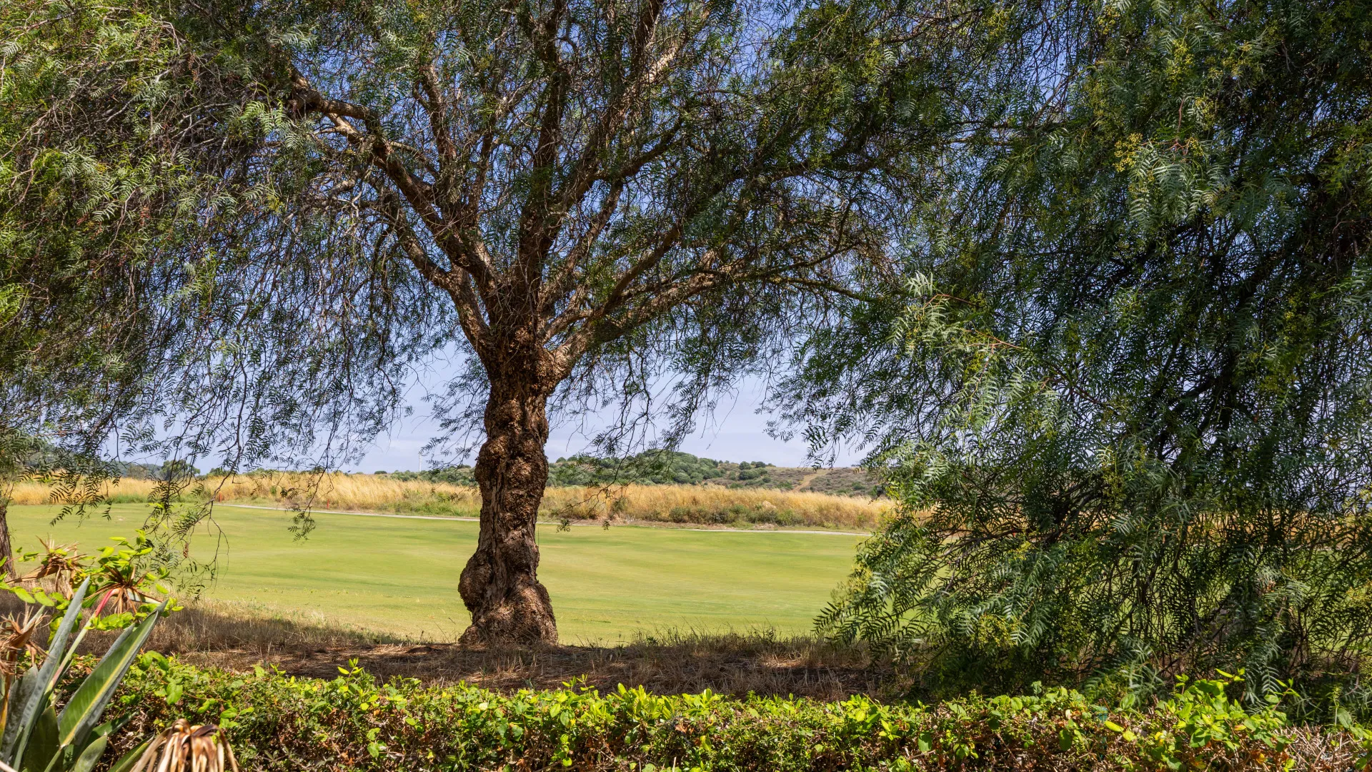 For sale Alcaidesa Golf 2 bedrooms town house