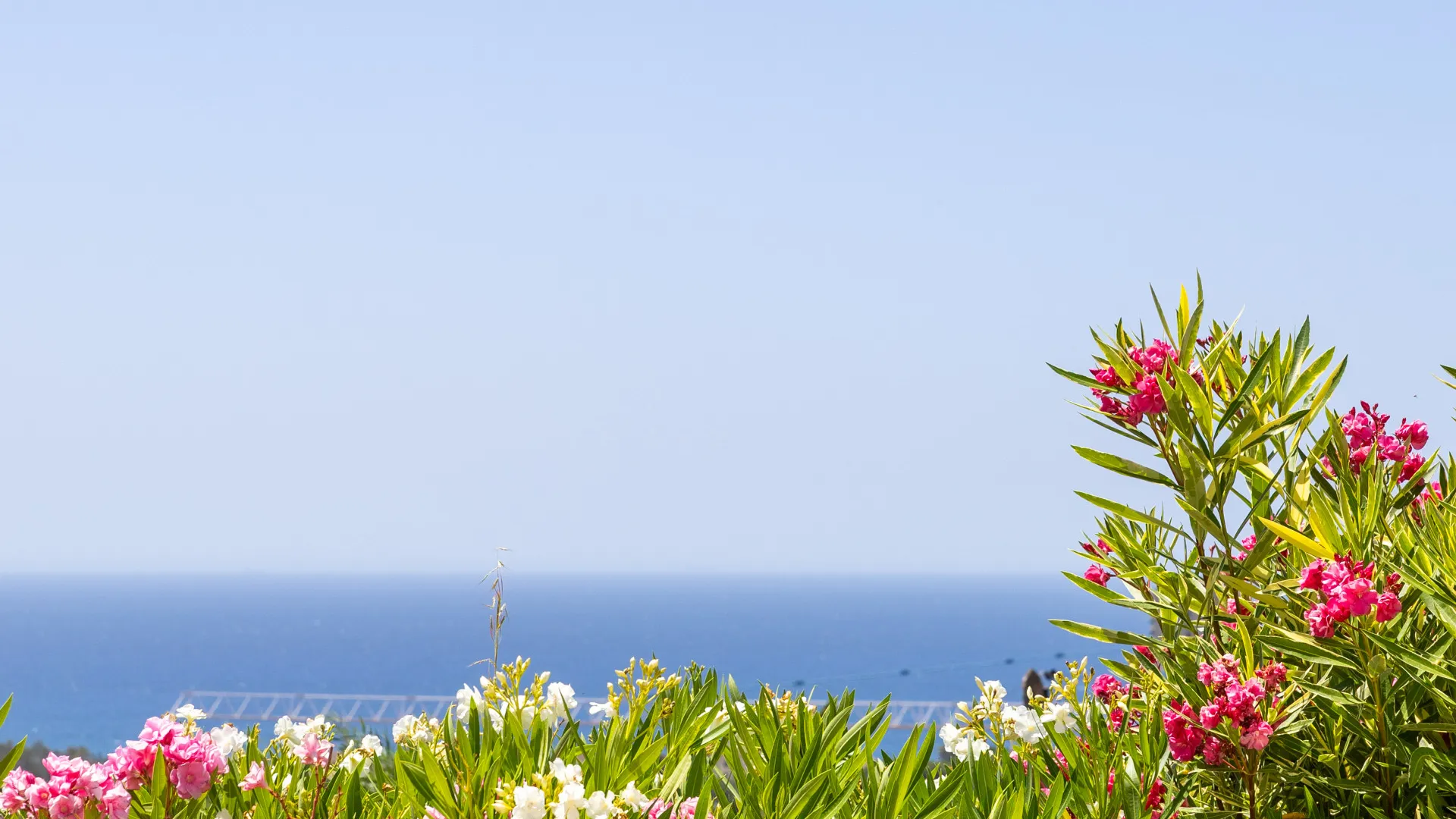 For sale villa in Elviria