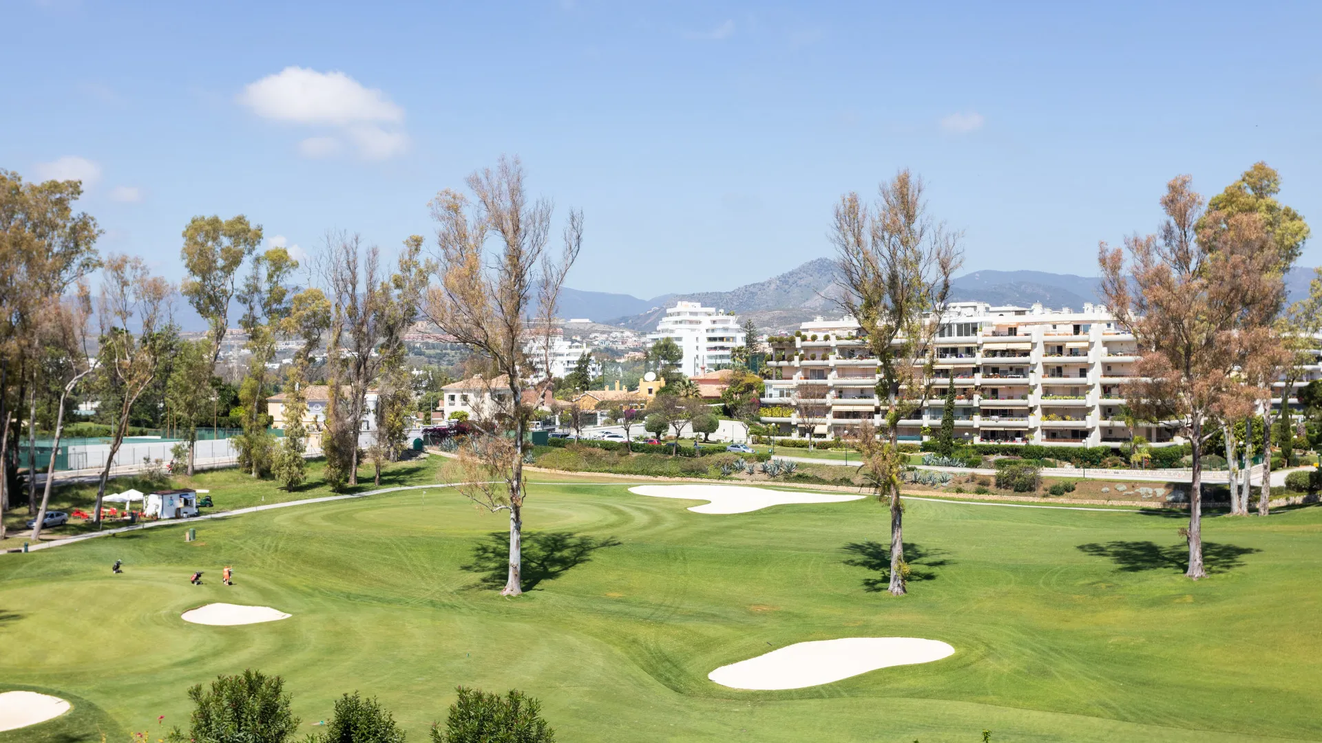 Buy Guadalmina Alta apartment