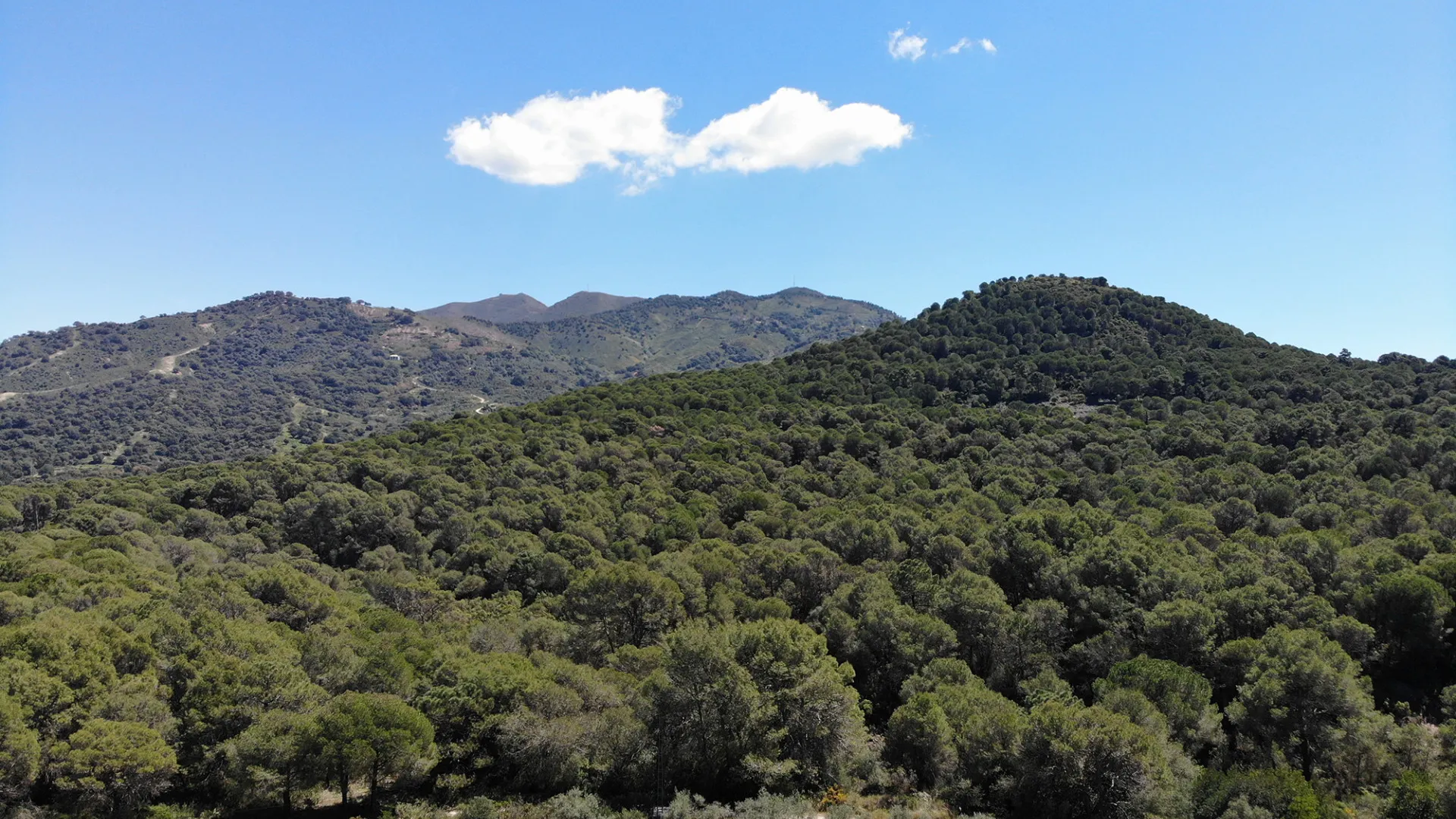 Ojen, finca con 3 dormitorios a la venta