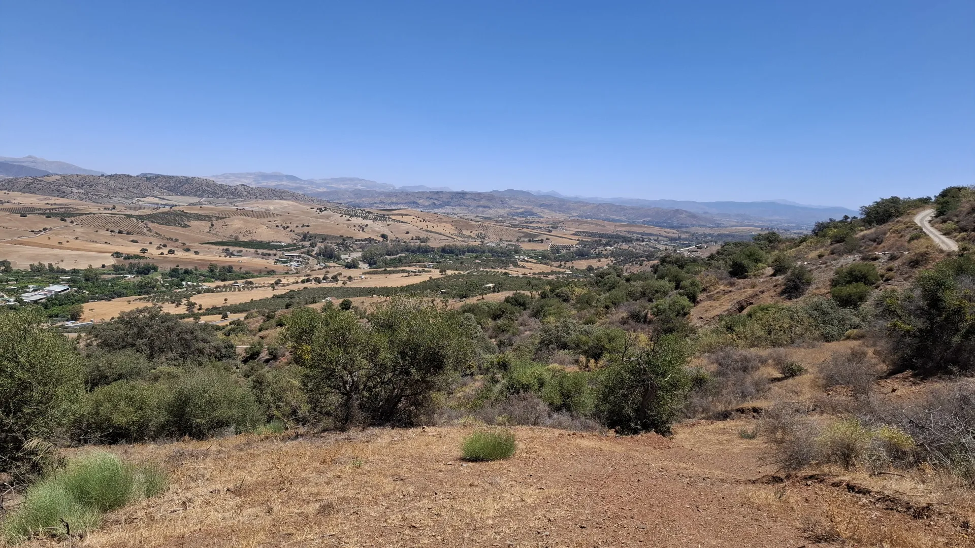 For sale plot in Coin