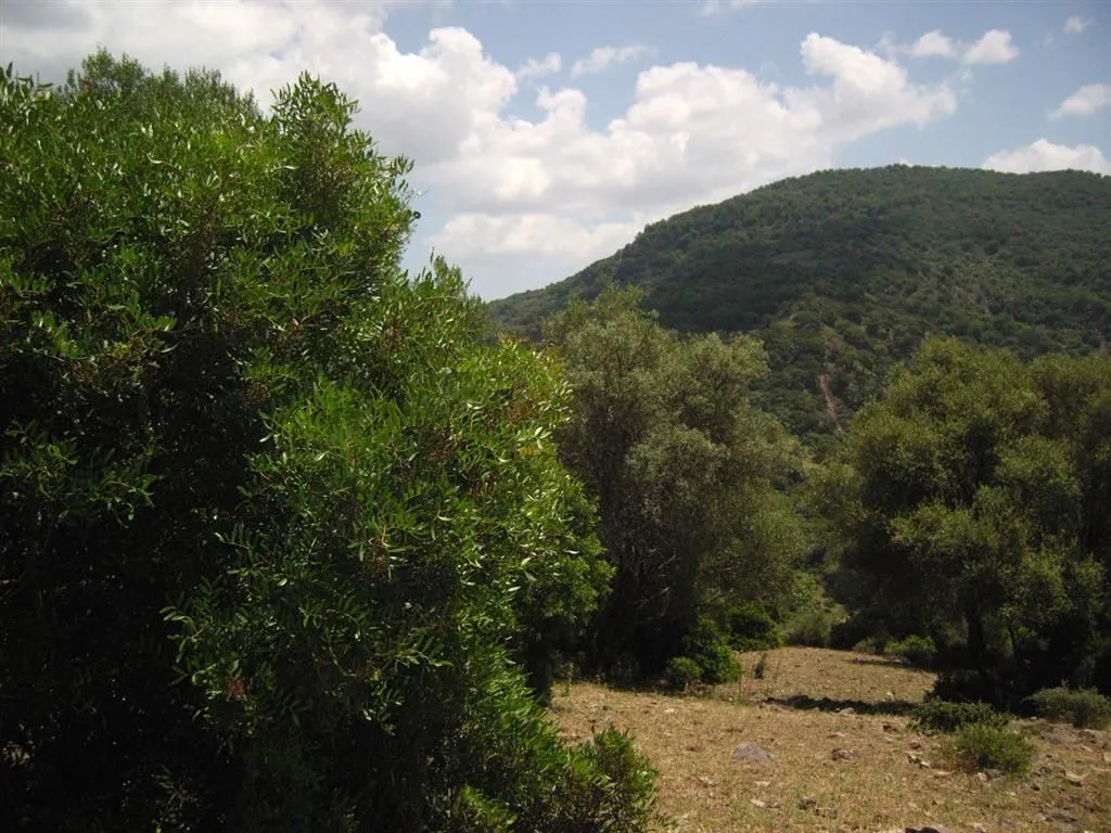For sale plot in Estacion de Gaucin