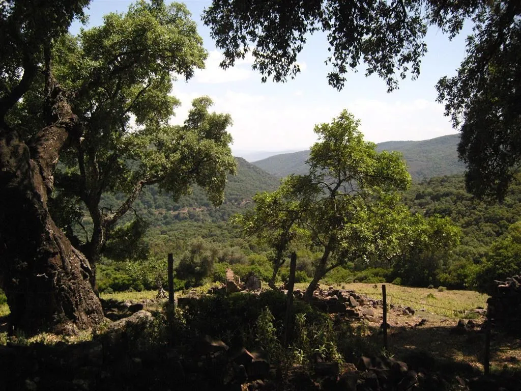 For sale plot in Estacion de Gaucin