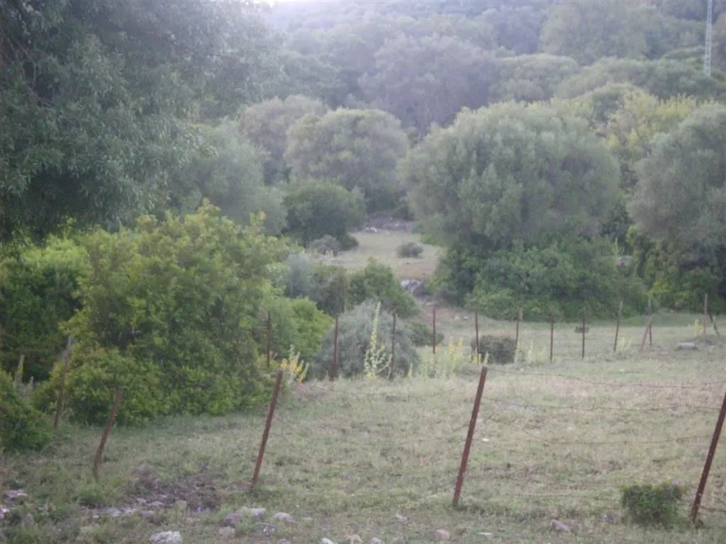For sale plot in Estacion de Gaucin