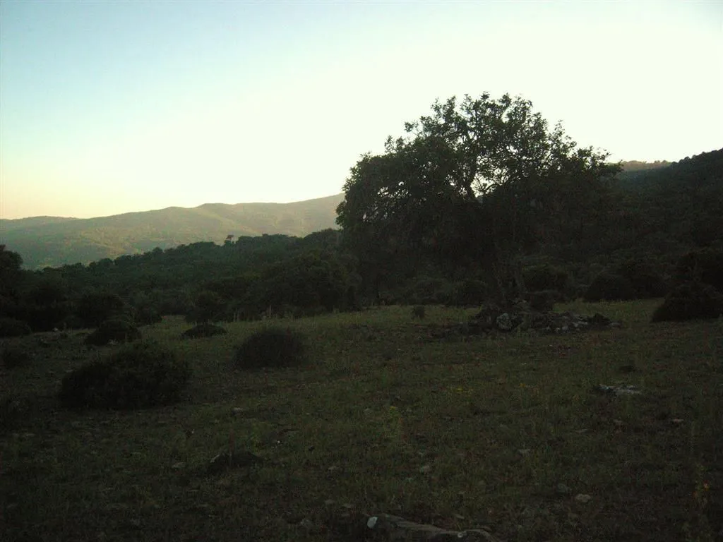 For sale plot in Estacion de Gaucin