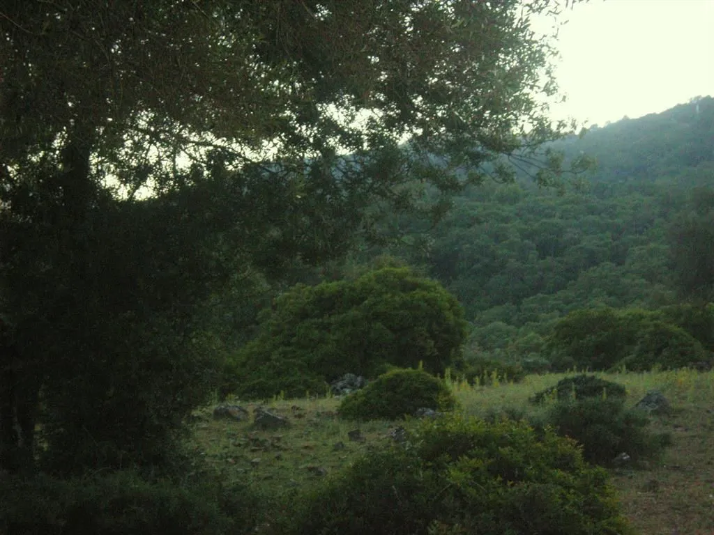 For sale plot in Estacion de Gaucin