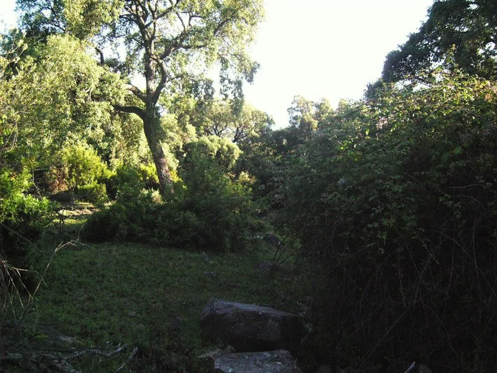 For sale plot in Estacion de Gaucin