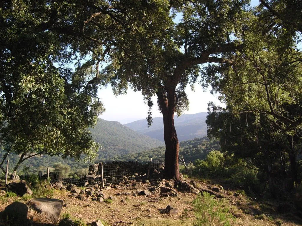 For sale plot in Estacion de Gaucin